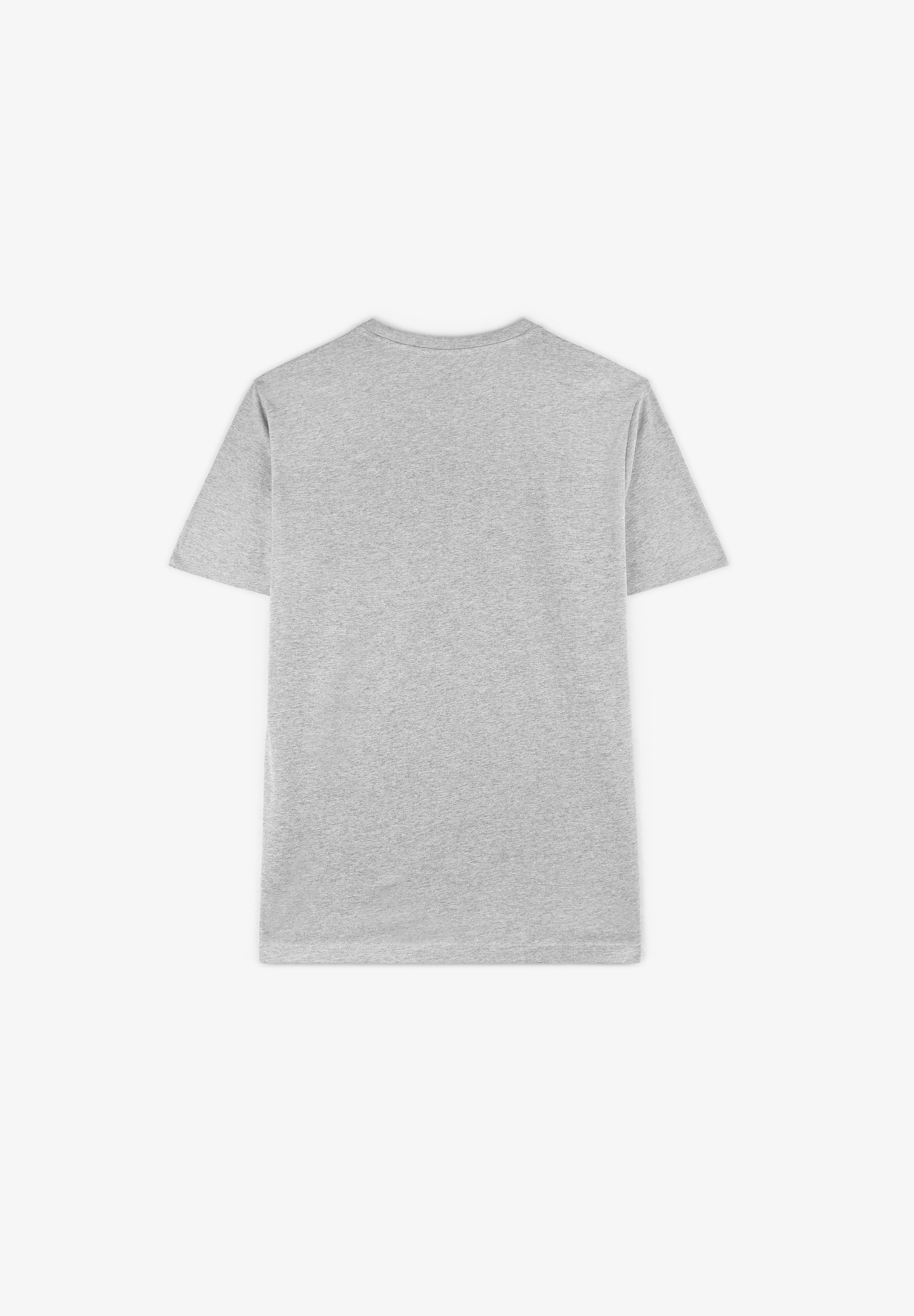 DICKIES | T-SHIRT MAPLETON