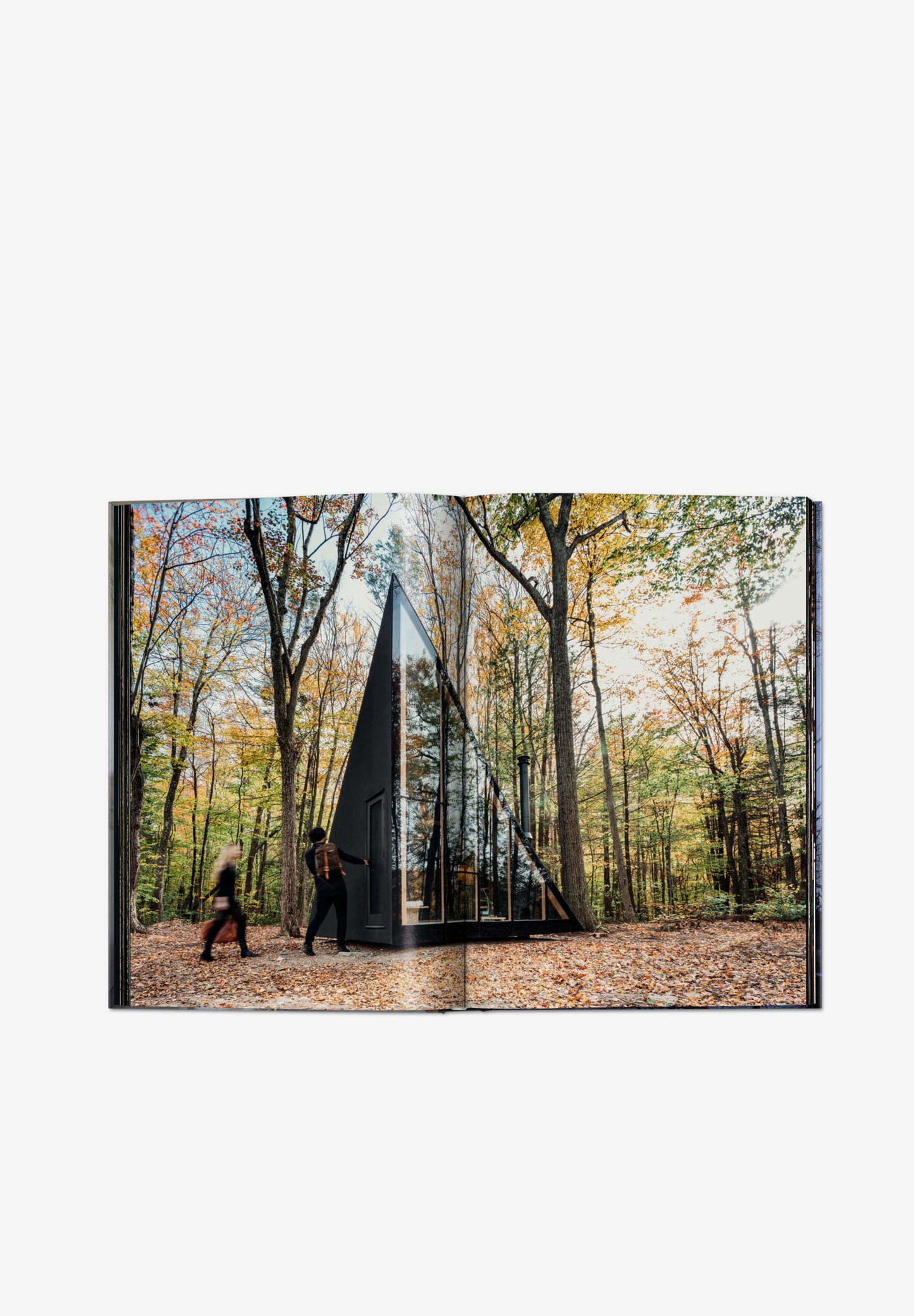 TASCHEN | LIVRO SMALL HOUSES