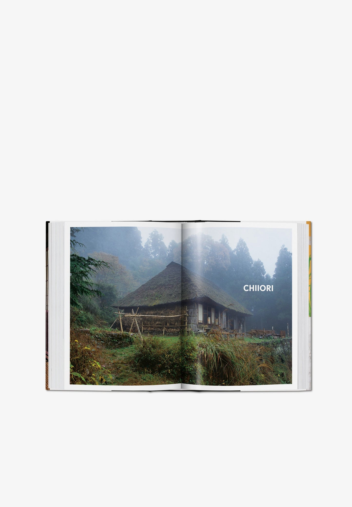 TASCHEN | LIVRO LIVING IN JAPAN