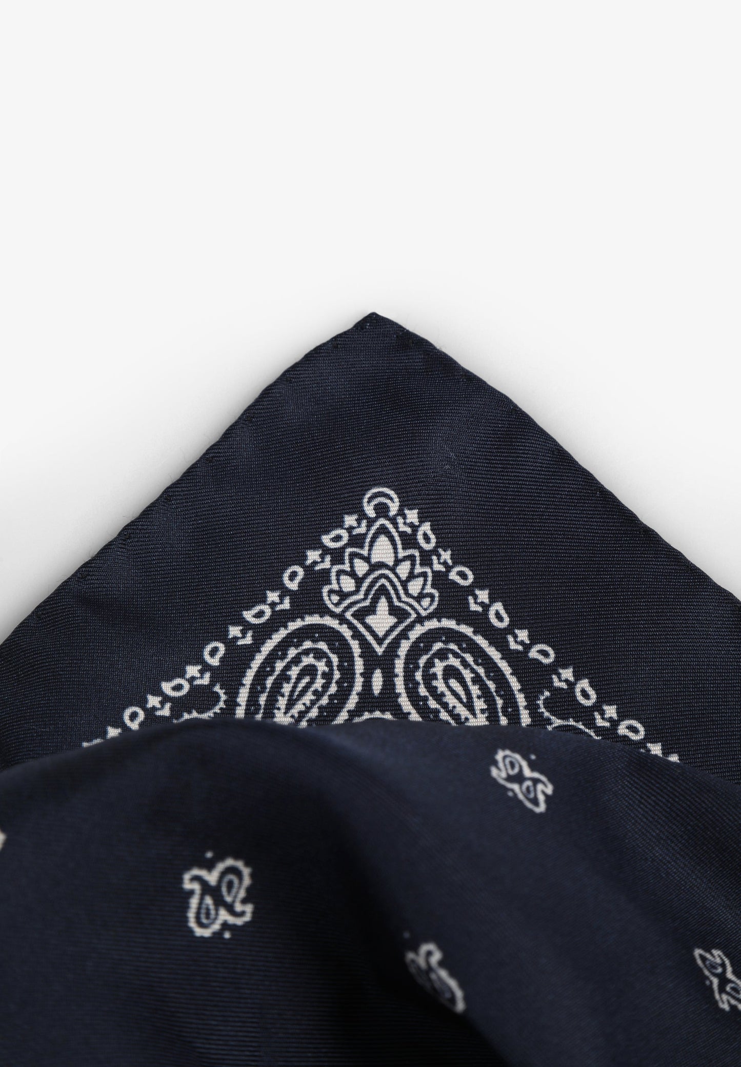 PAÑUELO SEDA ESTAMPADO PAISLEY