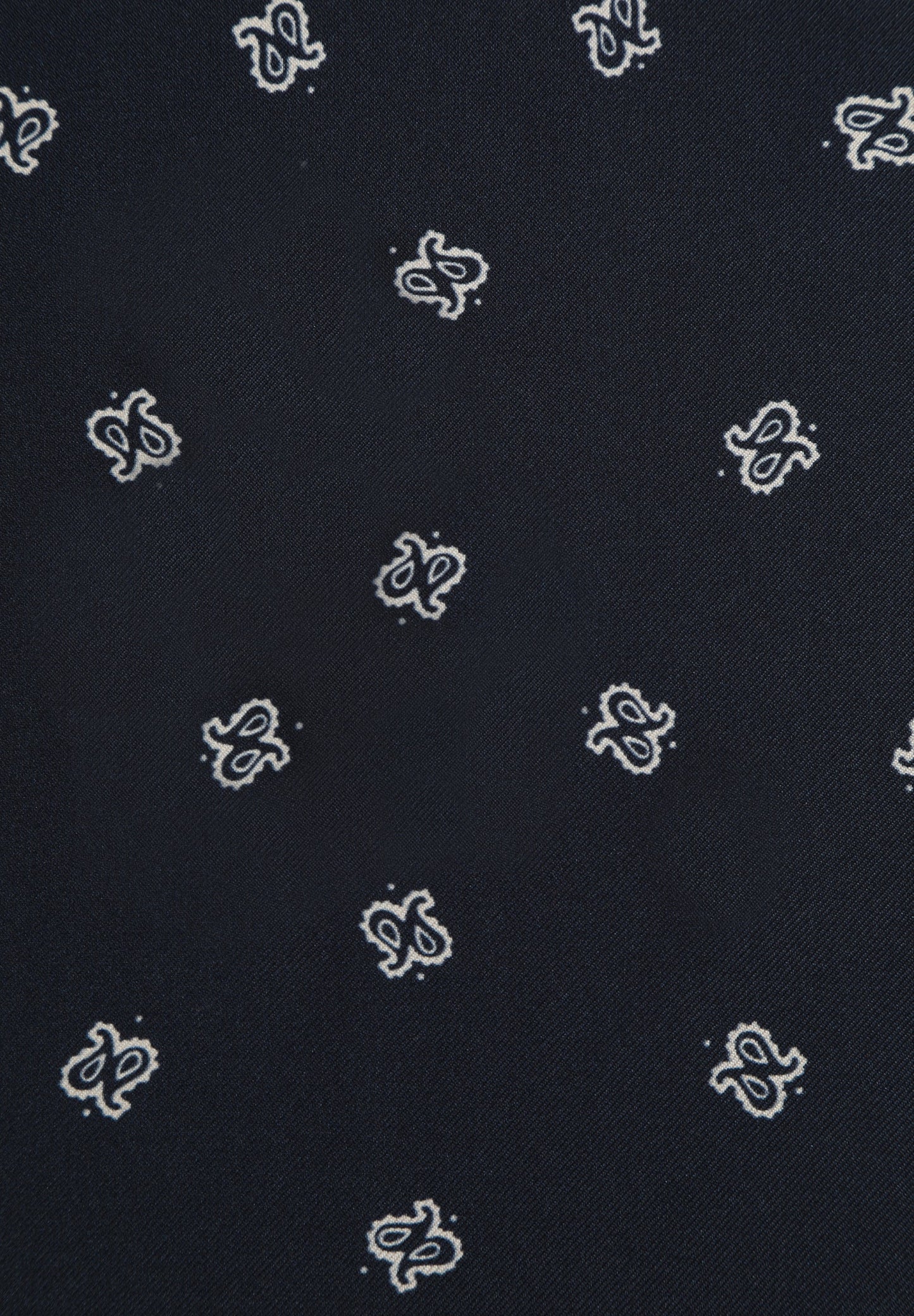 PAÑUELO SEDA ESTAMPADO PAISLEY