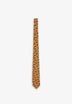 PAISLEY TIE