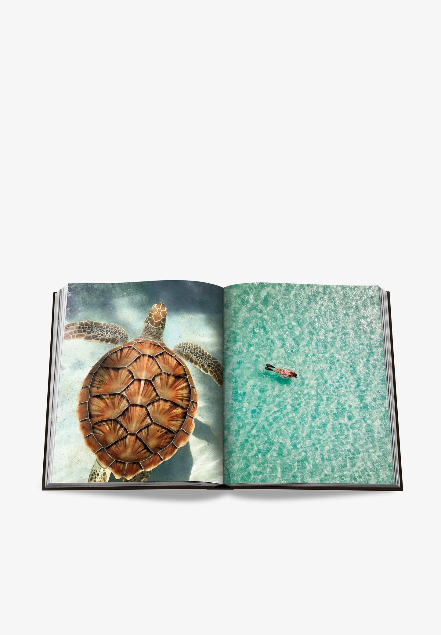 ASSOULINE | LIVRO JAMAICA VIBES