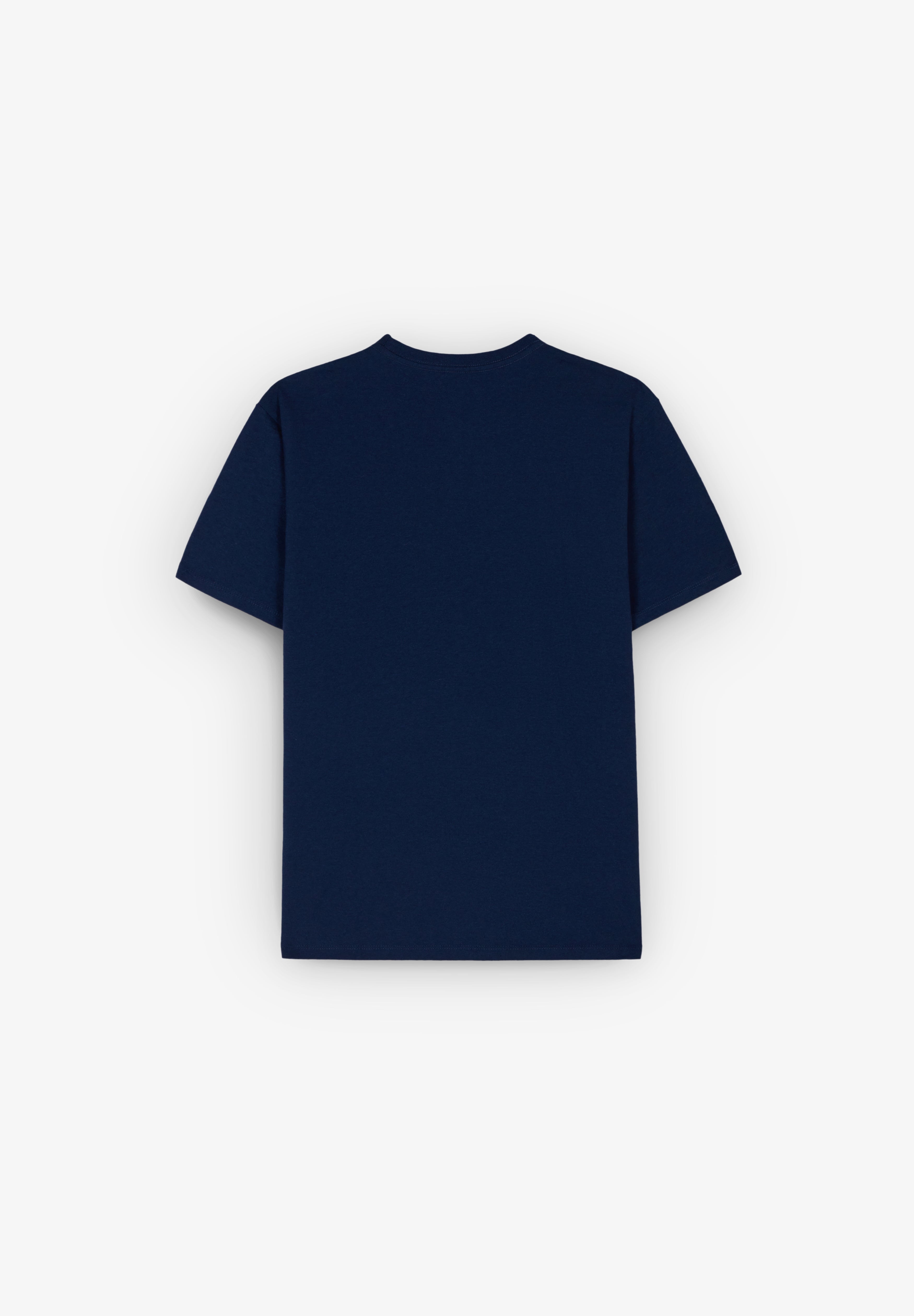 PATAGONIA | FITZ ROY ICON RESPONSABILI-TEE