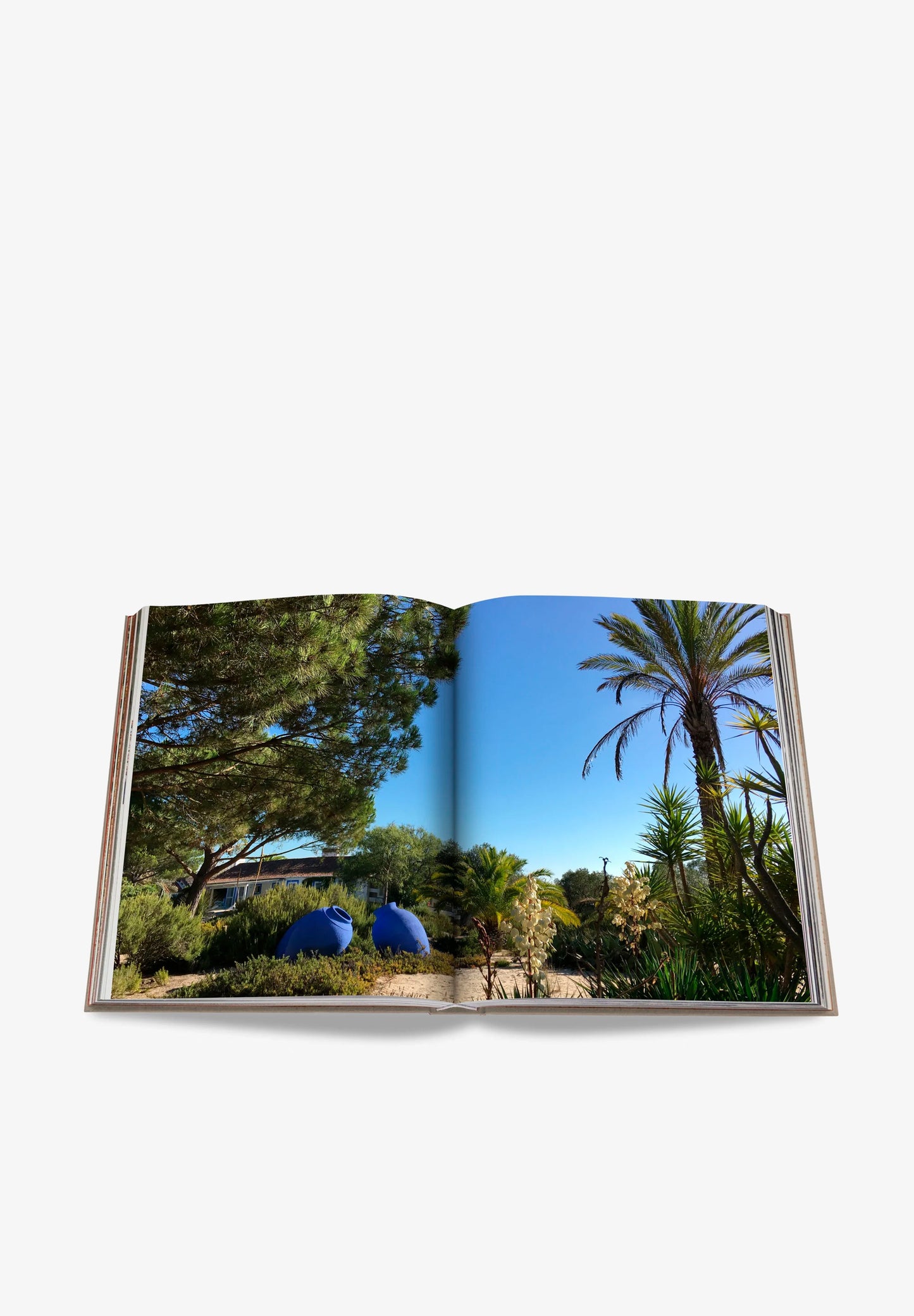 ASSOULINE | LIVRO COMPORTA BLISS