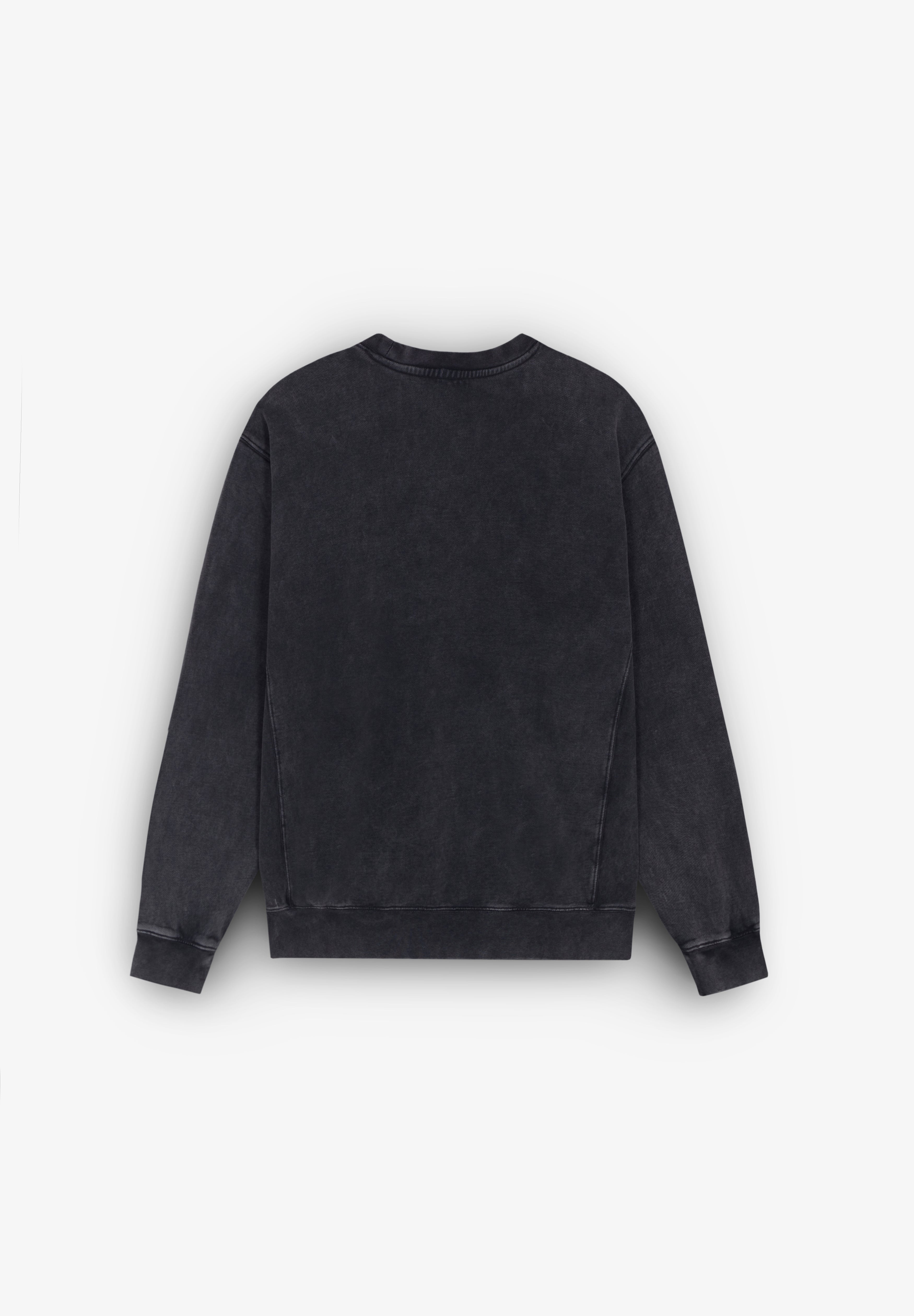 KATIN USA | SWEATSHIRT SWIRL EMB CREW