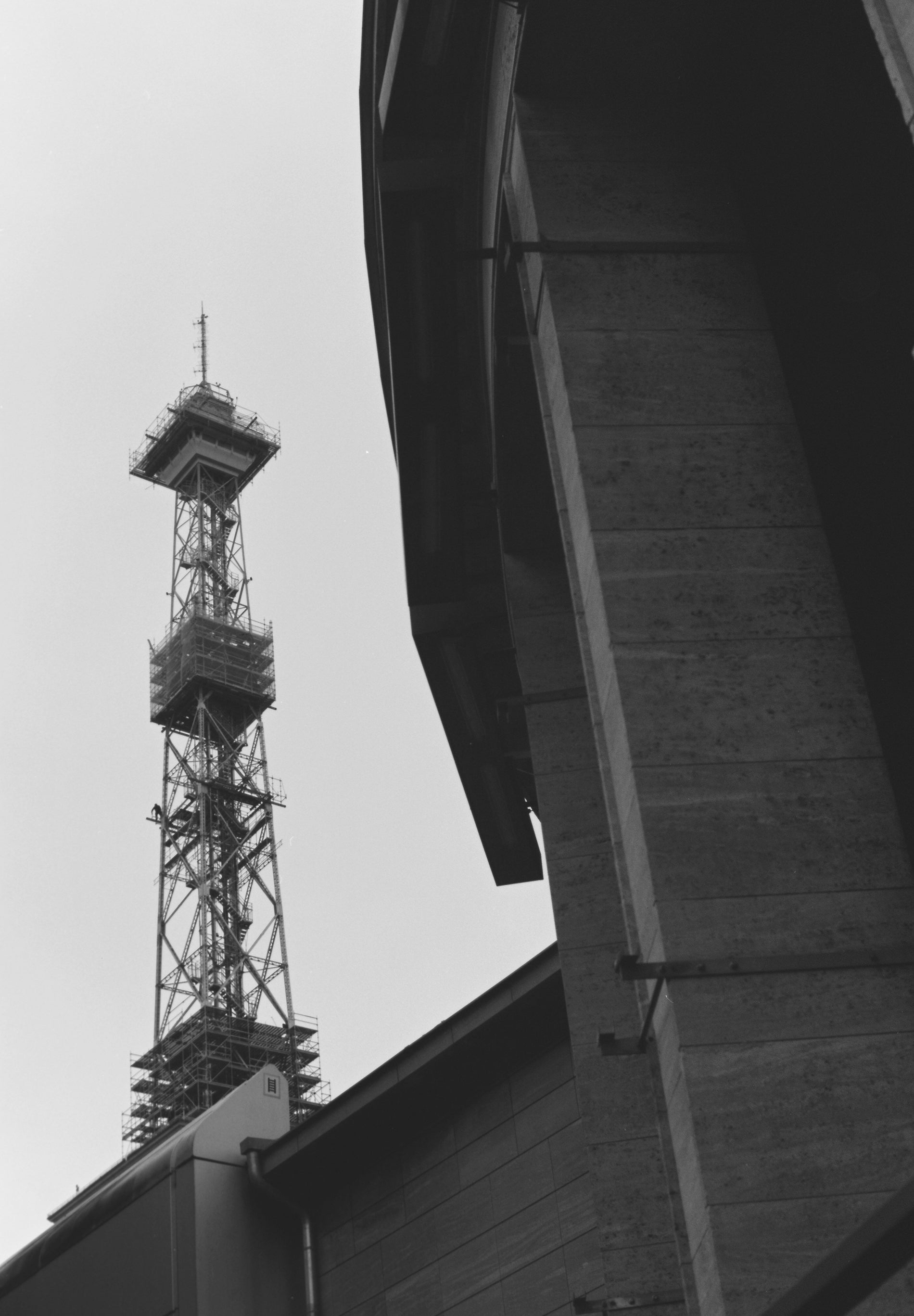 CAMISA SLIM FIT ALGODÃO