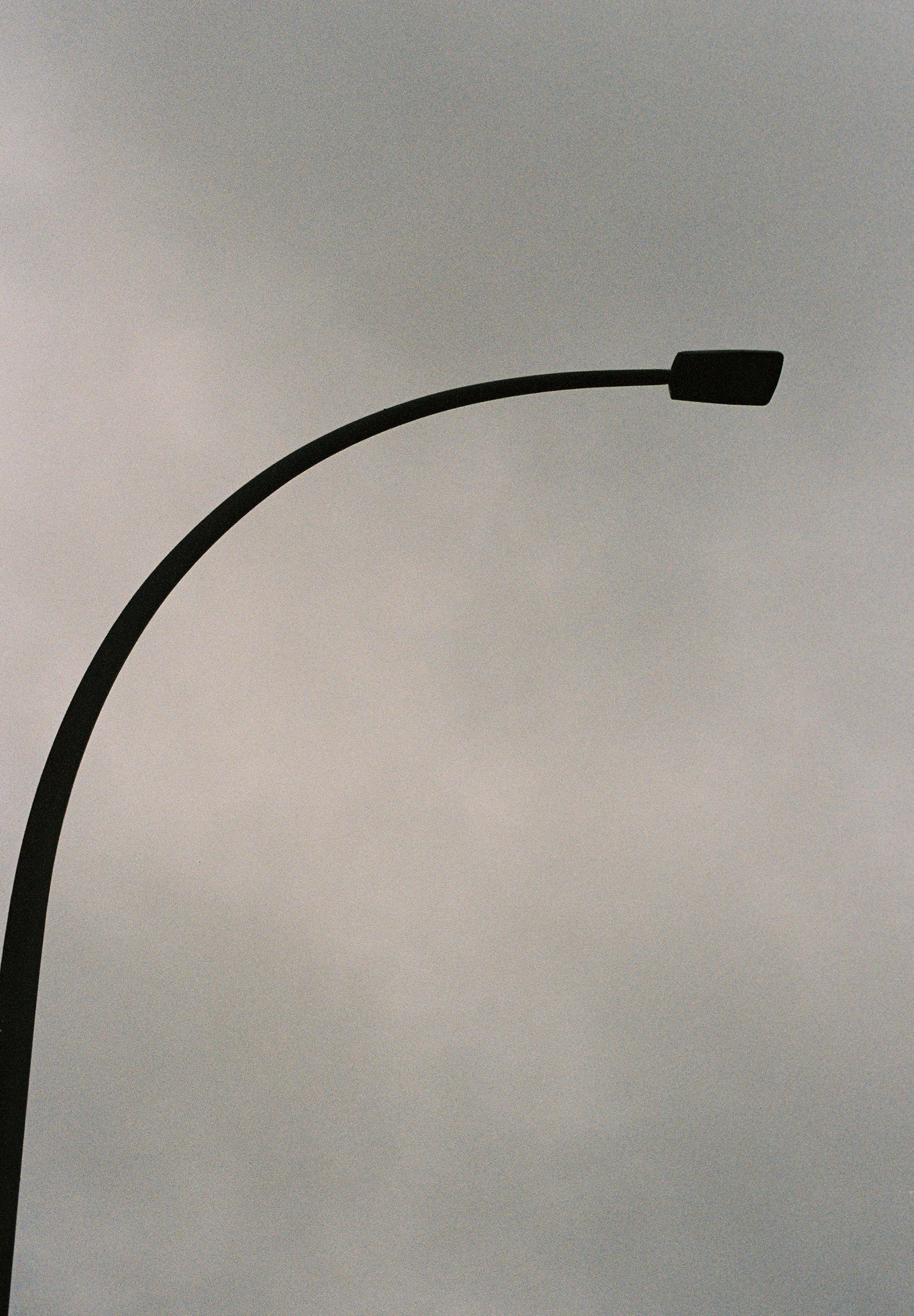 CARDIGAN BOMBER FOLHOS PELE