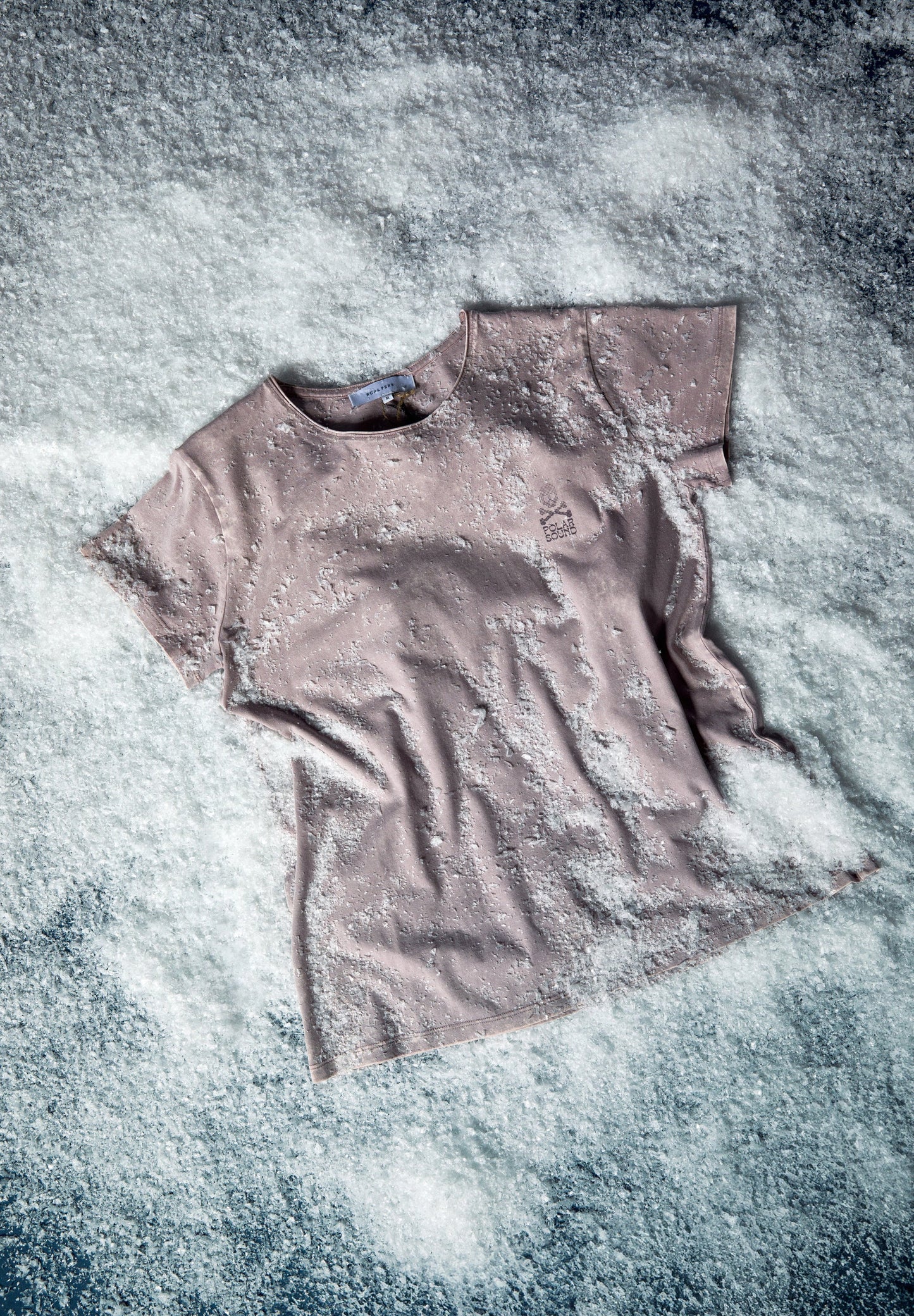 T-SHIRT DESBOTADA COM PADRÃO POLAR SOUND