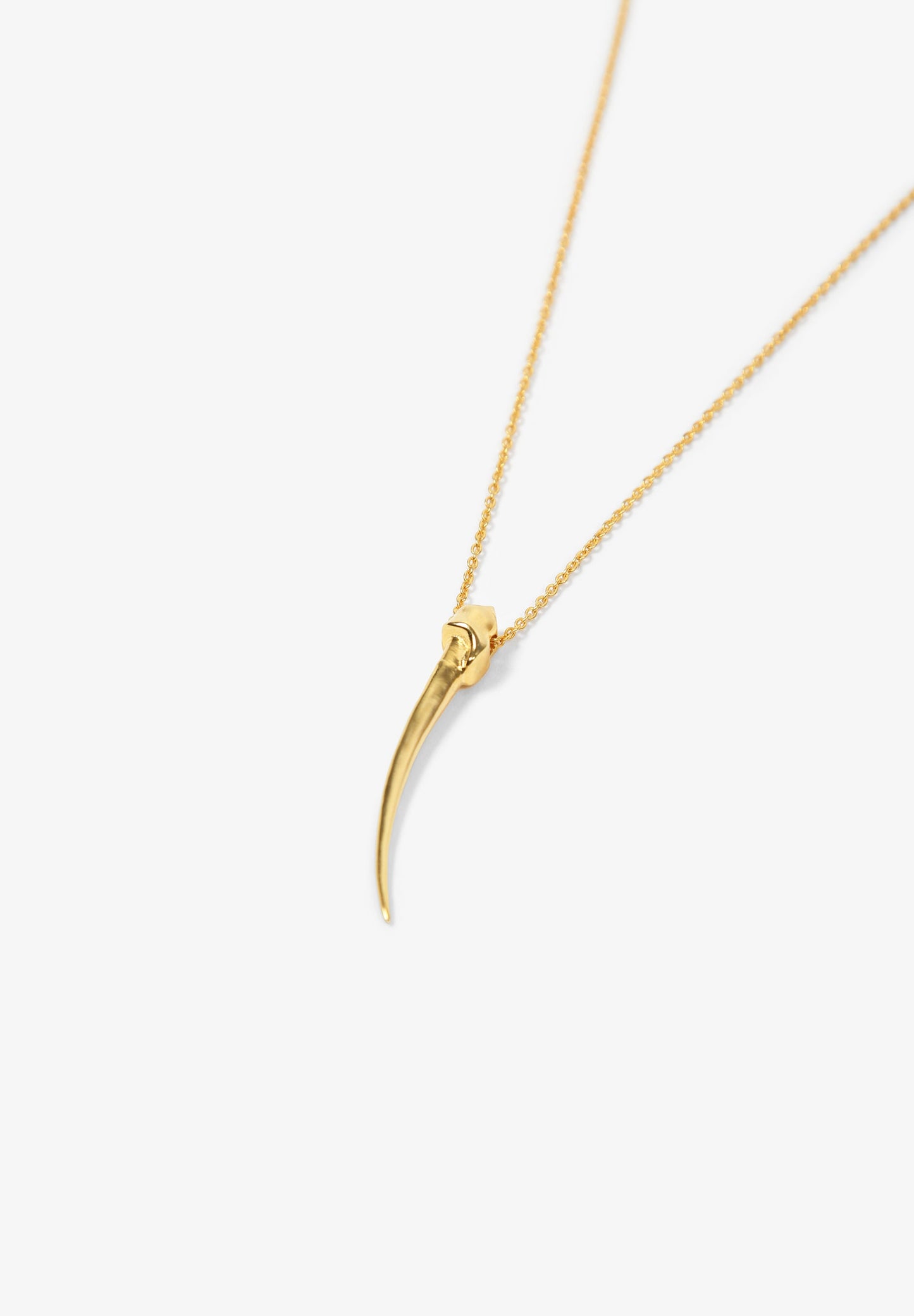 FIO COMPRIDO COM CORNO