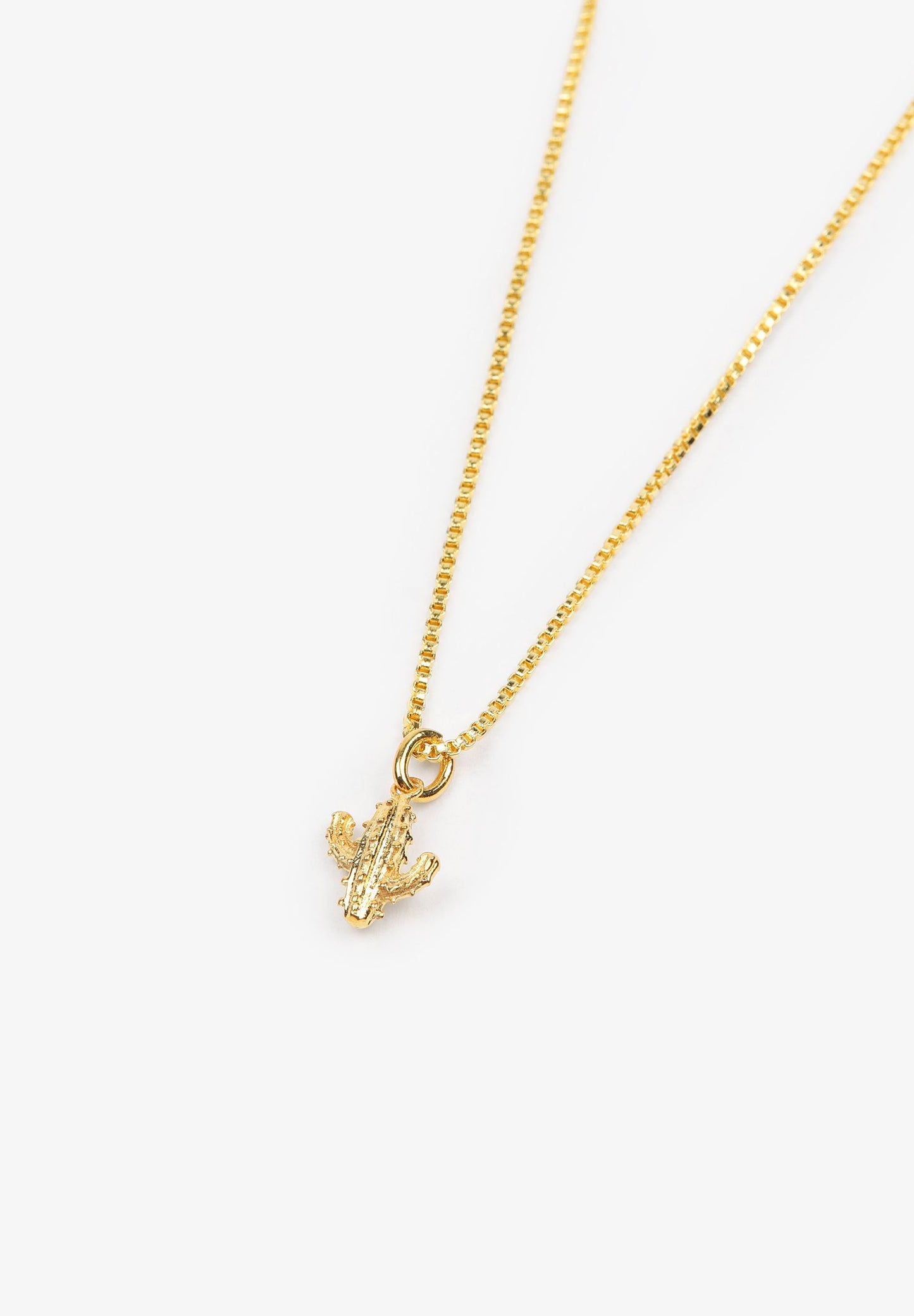 FIO COMPRIDO COM CATO