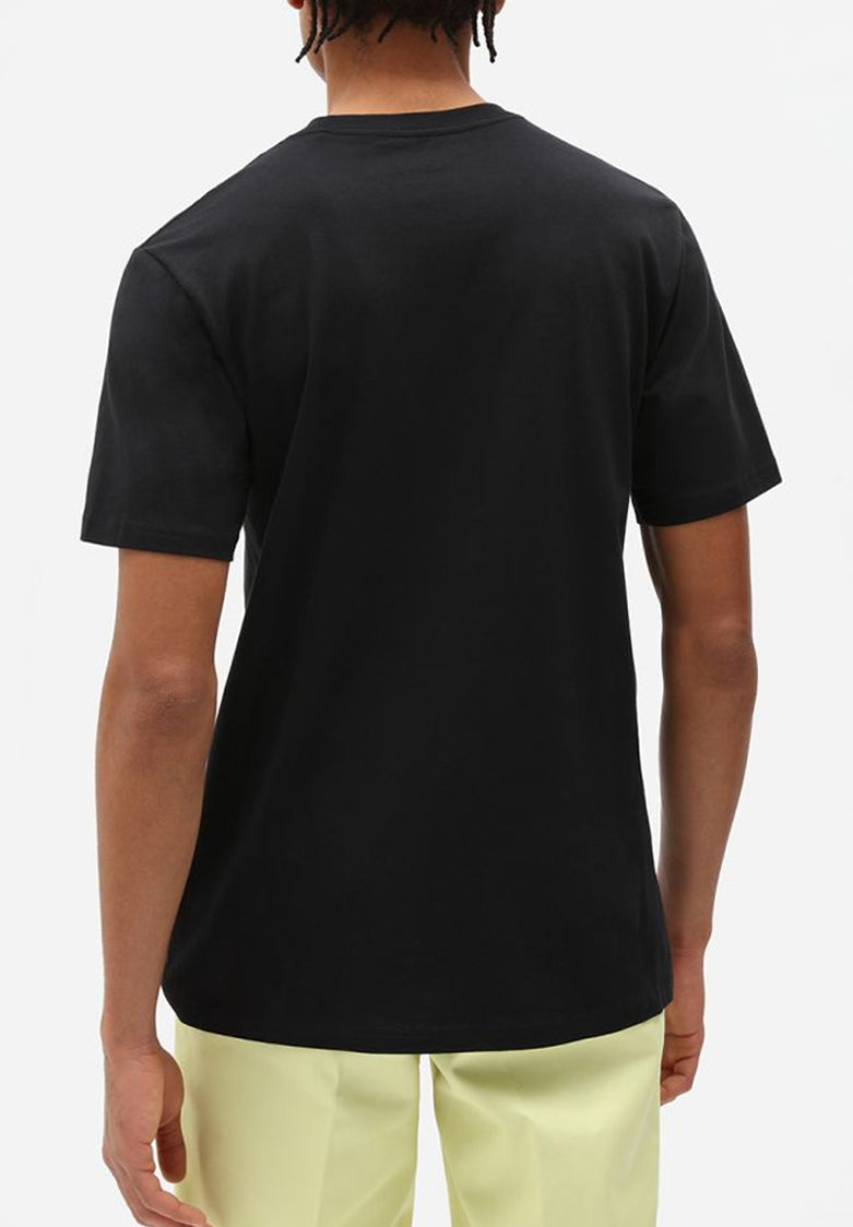 DICKIES | T-SHIRT MAPLETON