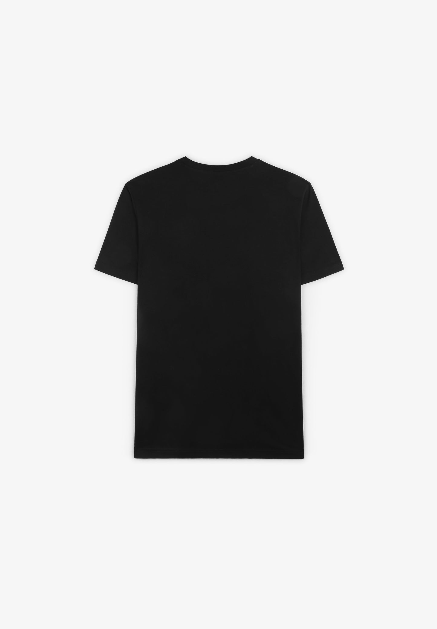 DICKIES | T-SHIRT MAPLETON