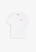 DICKIES | SS MAPLETON TEE