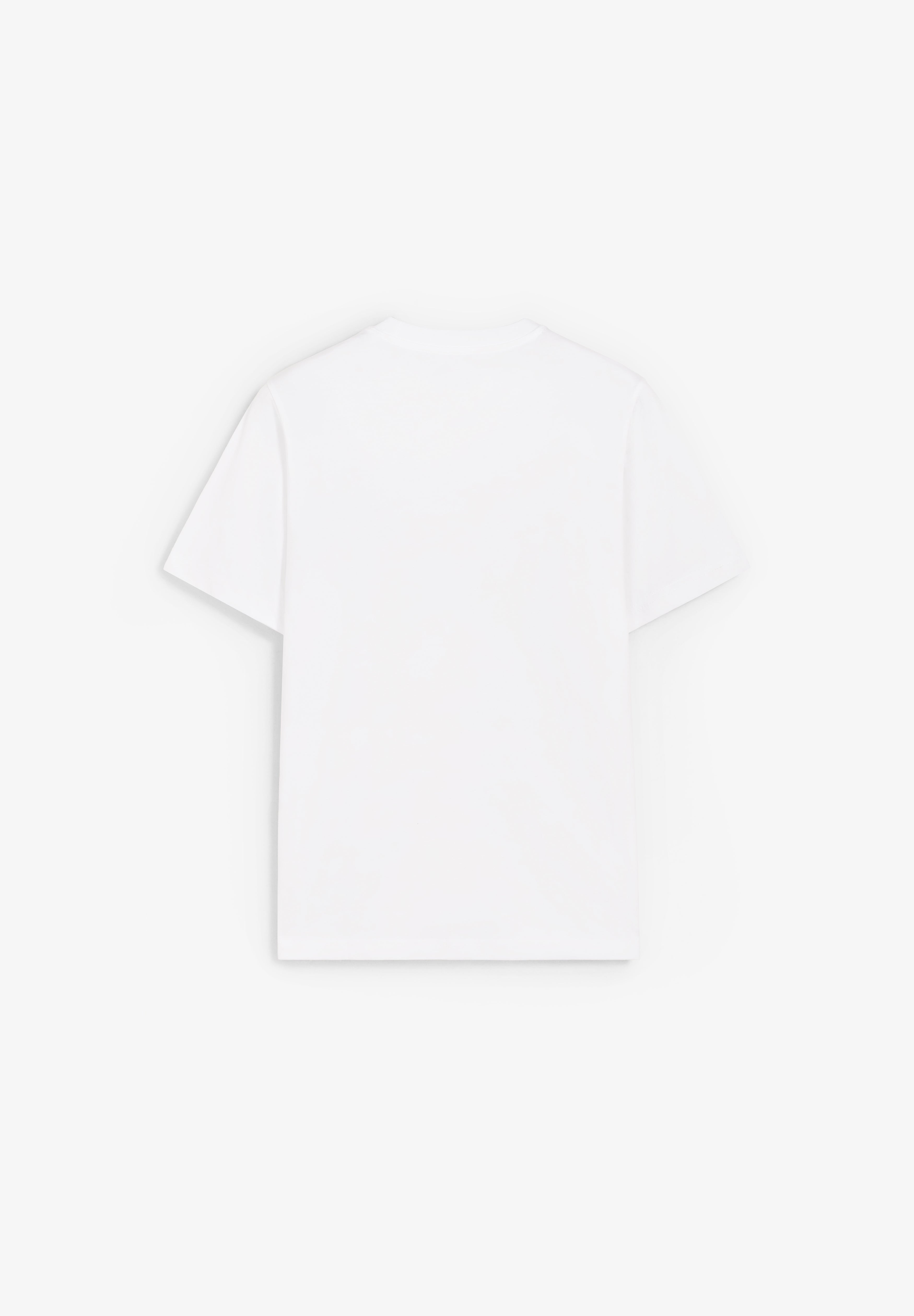 DICKIES | SS MAPLETON TEE