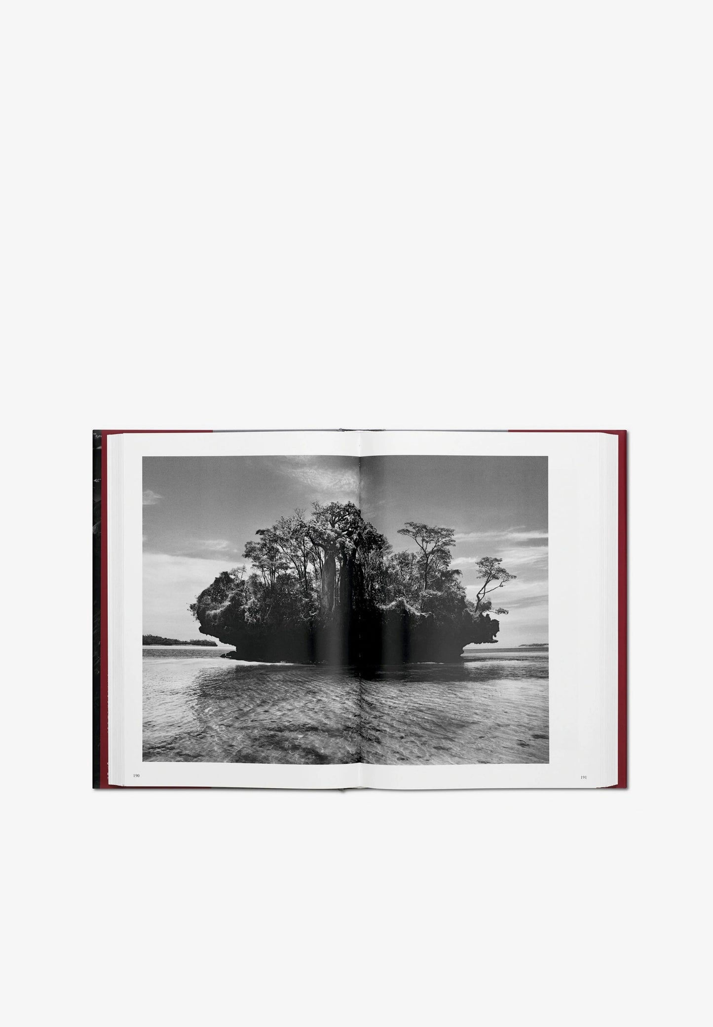 TASCHEN | LIVRO GENESIS SALGADO