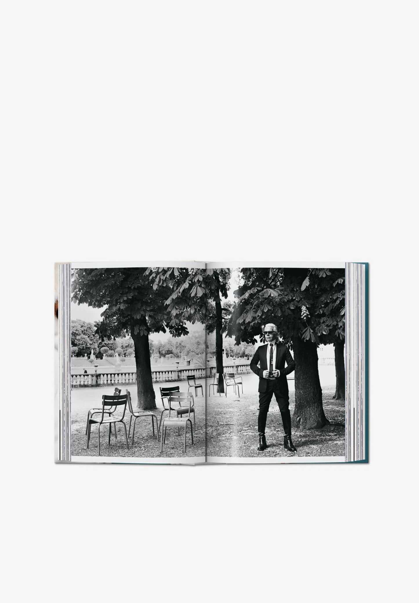 TASCHEN | LIVRO MARIO TESTINO SIR