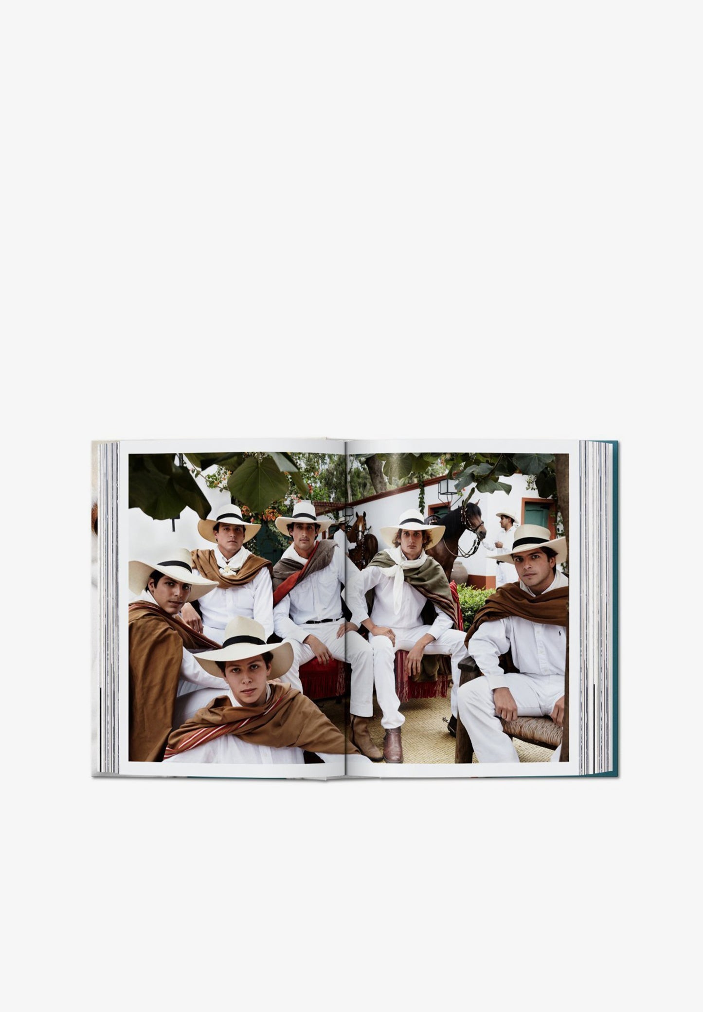TASCHEN | LIVRO MARIO TESTINO SIR