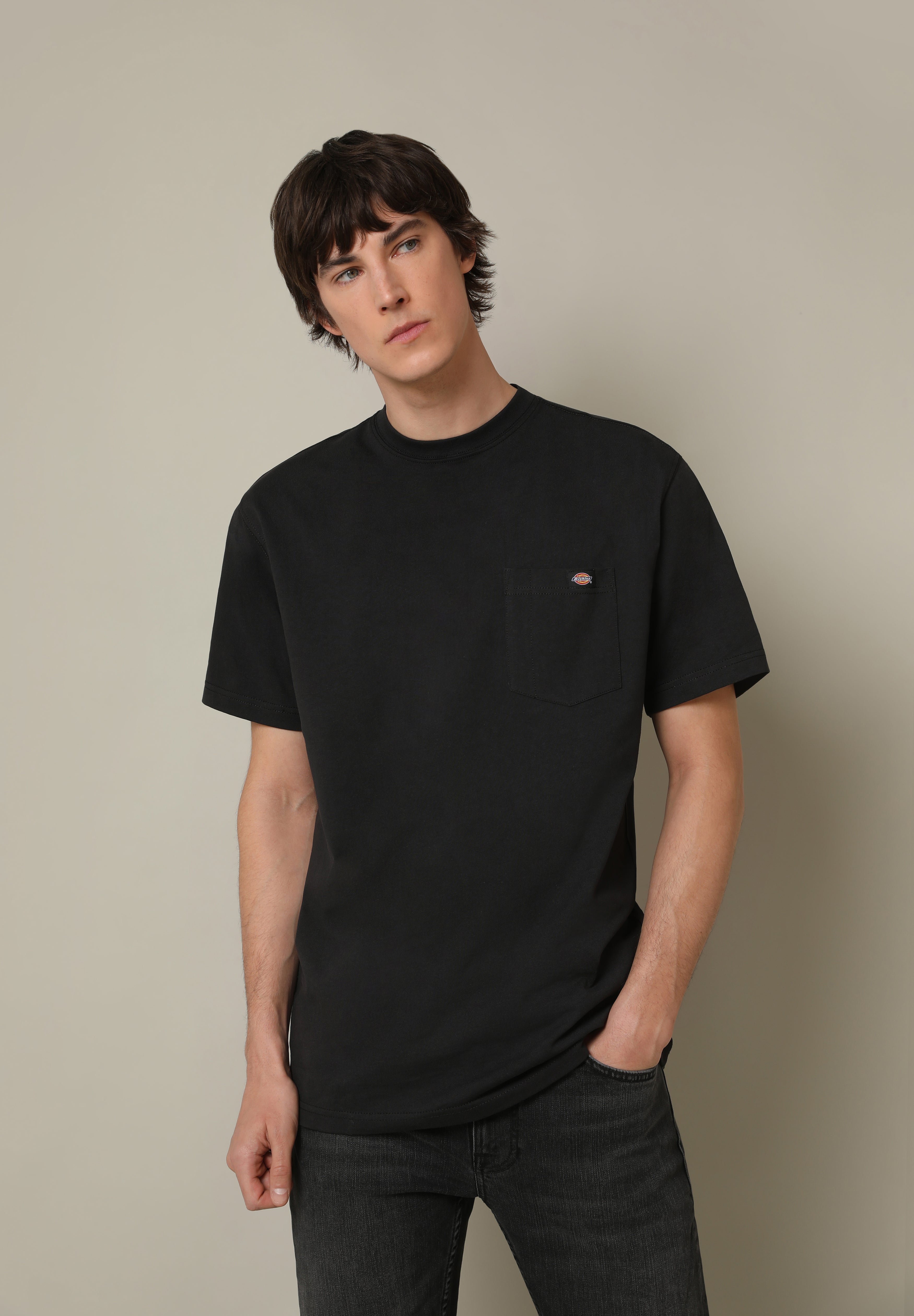 DICKIES | CAMISETA PORTERDALE