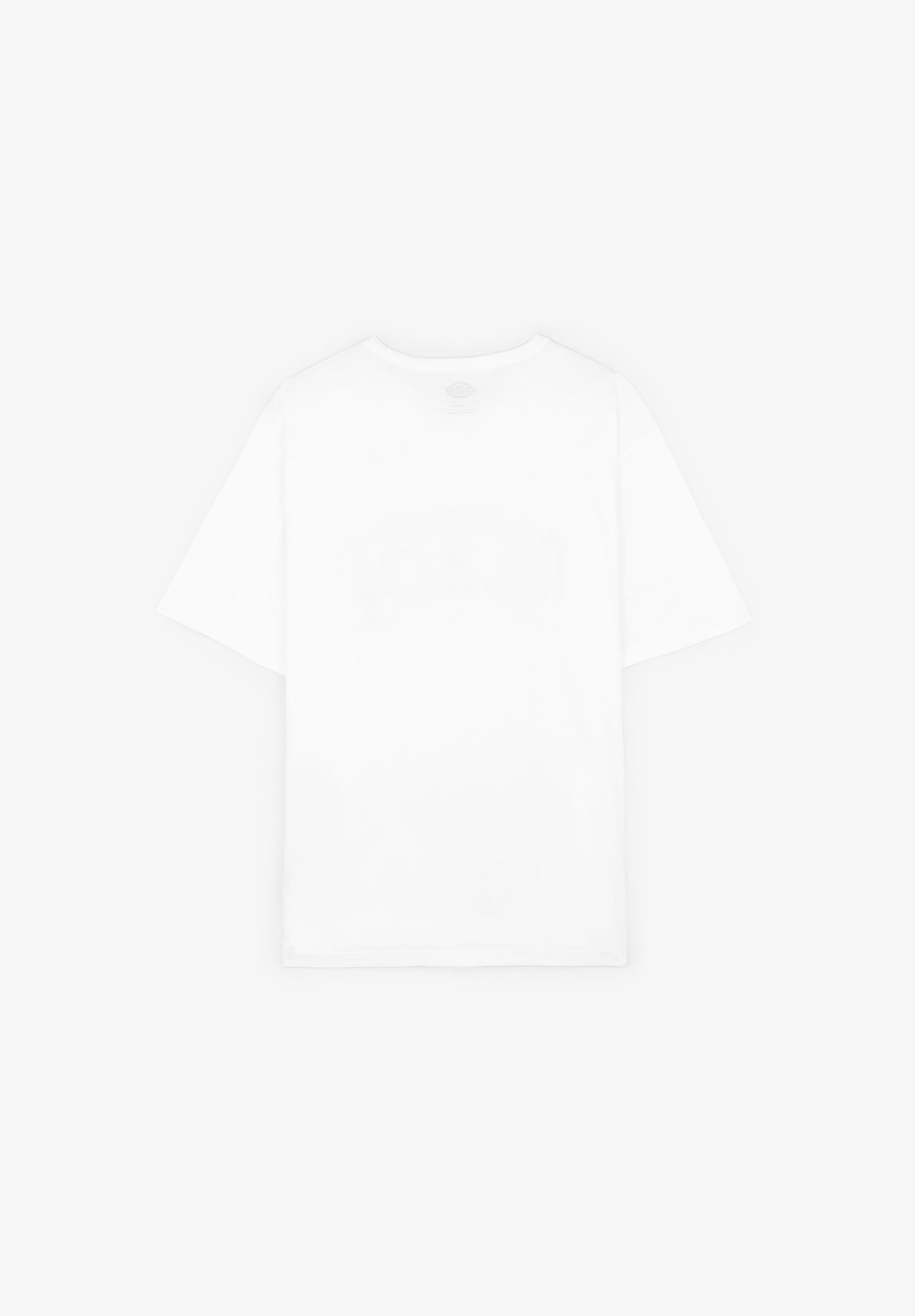 DICKIES | CAMISETA AITKIN