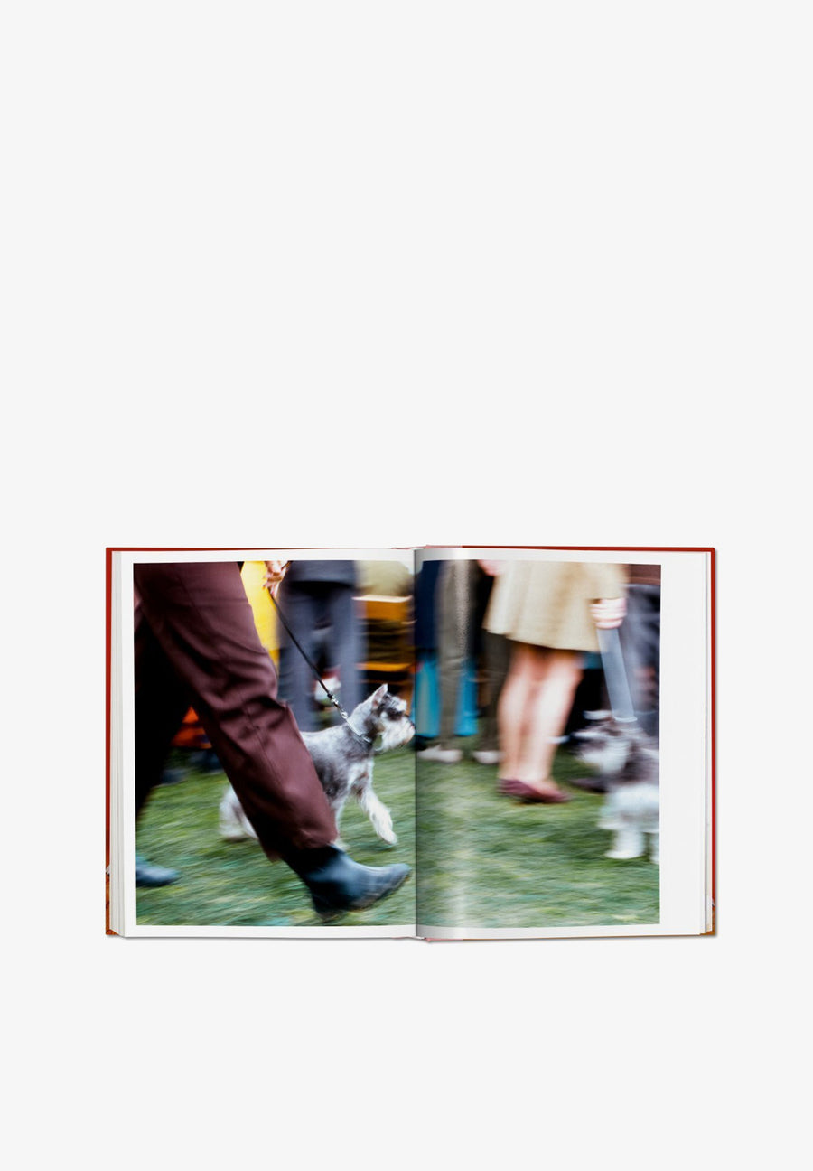 TASCHEN | LIVRO WALTER CHANDOHA DOGS