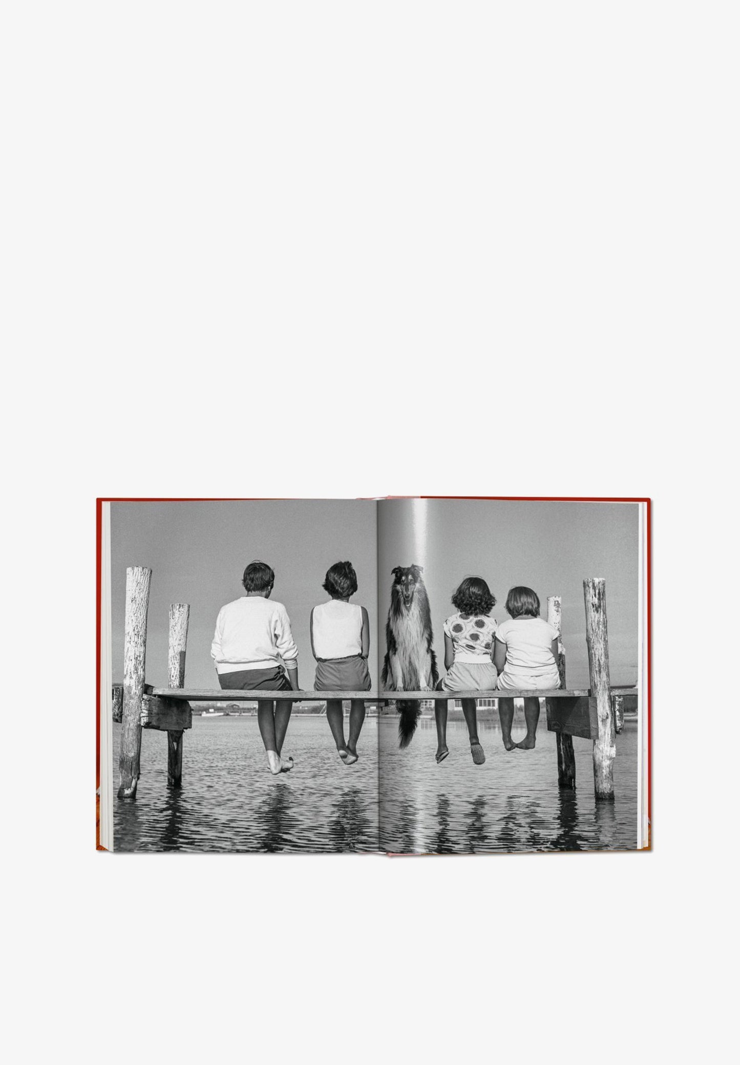 TASCHEN | LIVRO WALTER CHANDOHA DOGS