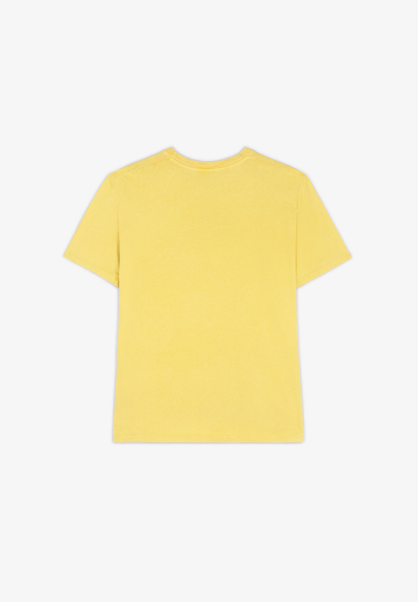 BREWSTER | CAMISETA SAN REMO