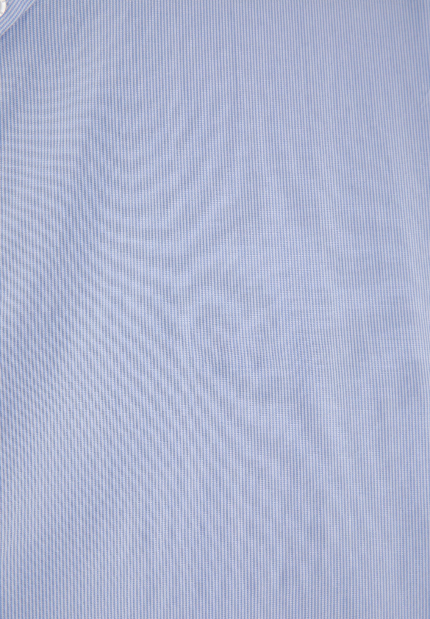 CAMISA OXFORD CUELLO BOTONES - Scalpers