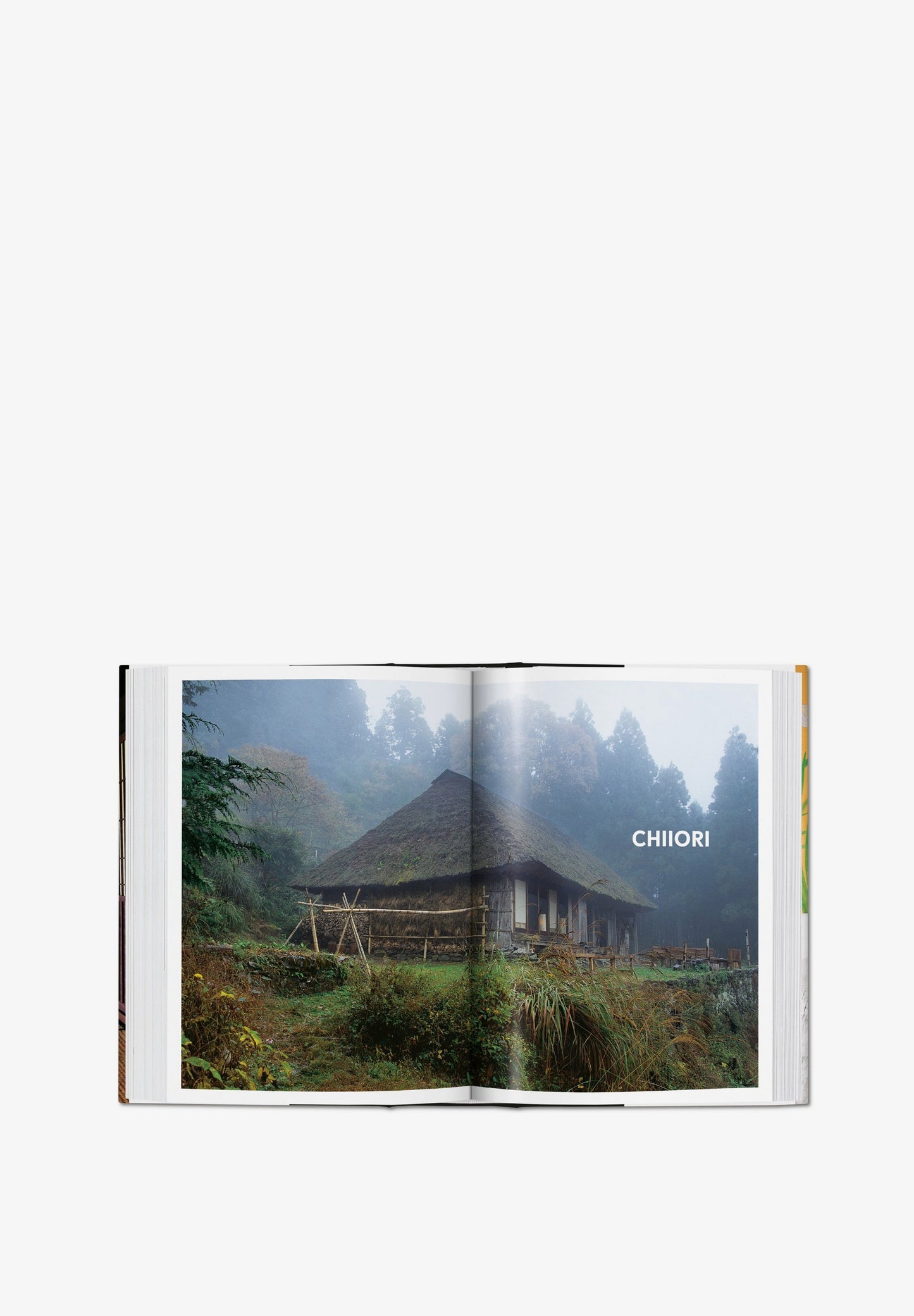 TASCHEN | LIVRO LIVING IN JAPAN 40TH ED