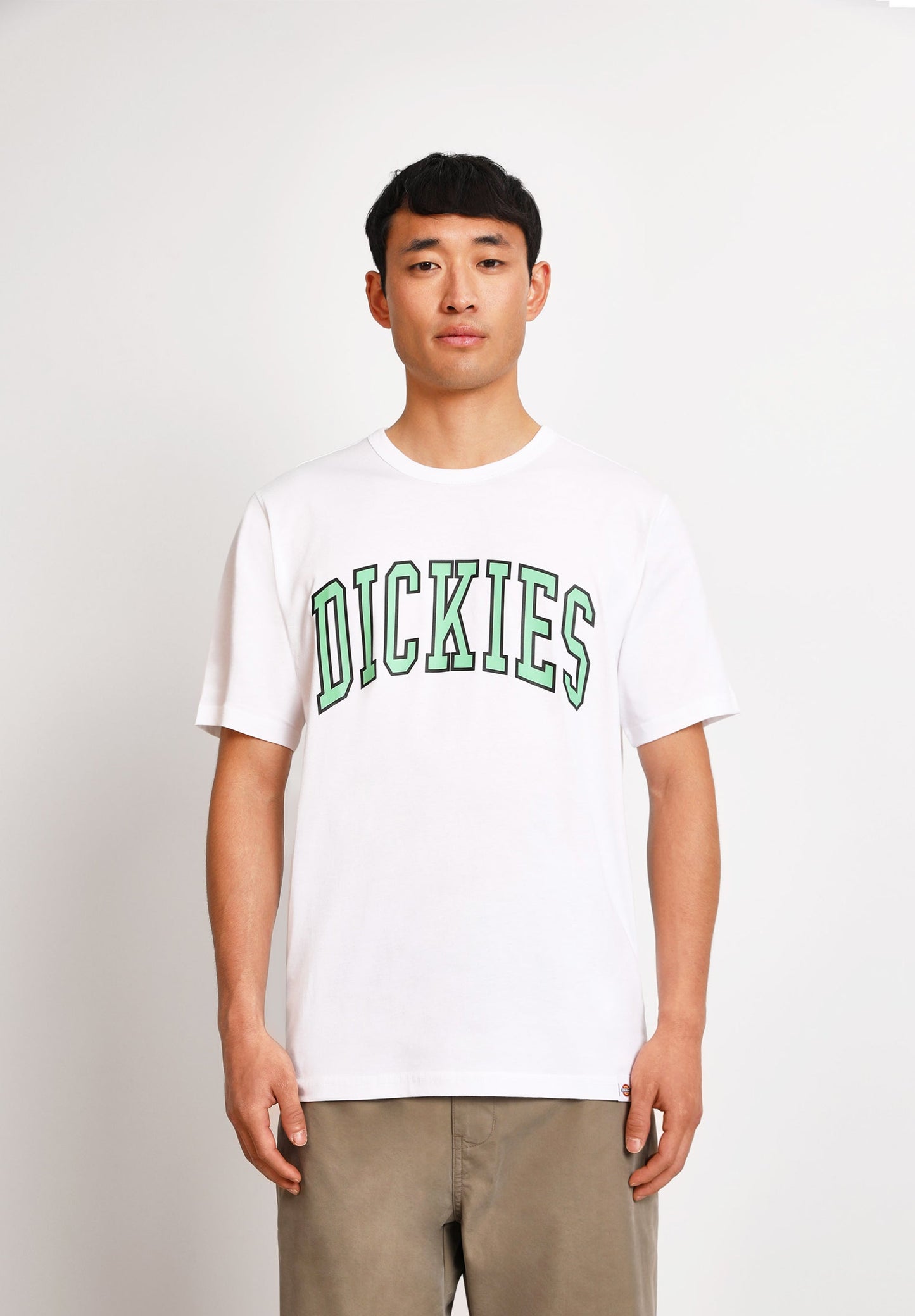 DICKIES | T-SHIRT AITKIN