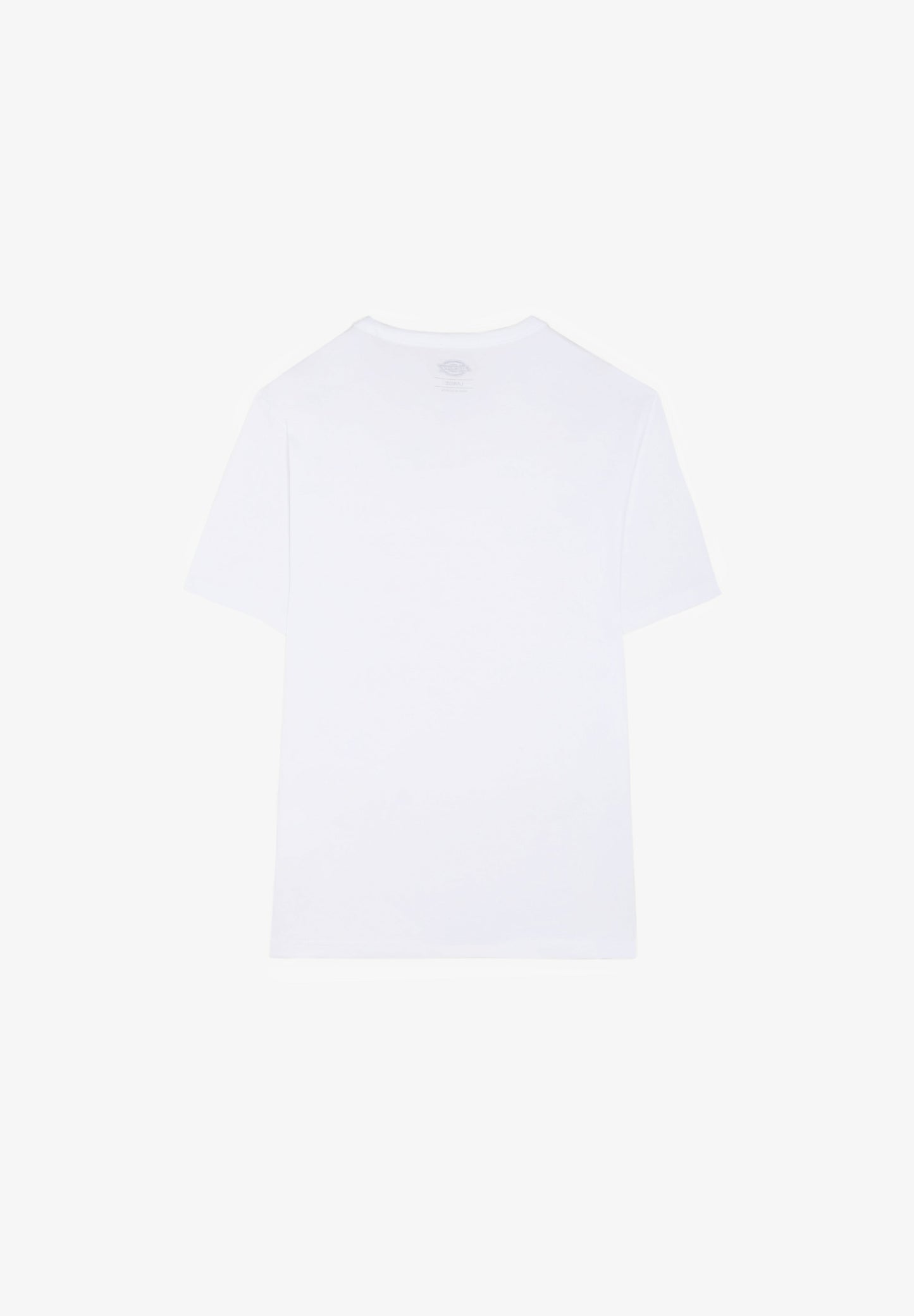 DICKIES | T-SHIRT AITKIN