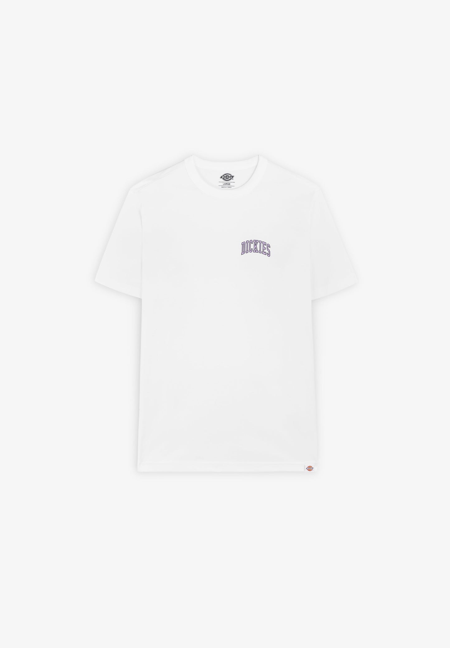 DICKIES | T-SHIRT AITKIN CHEST