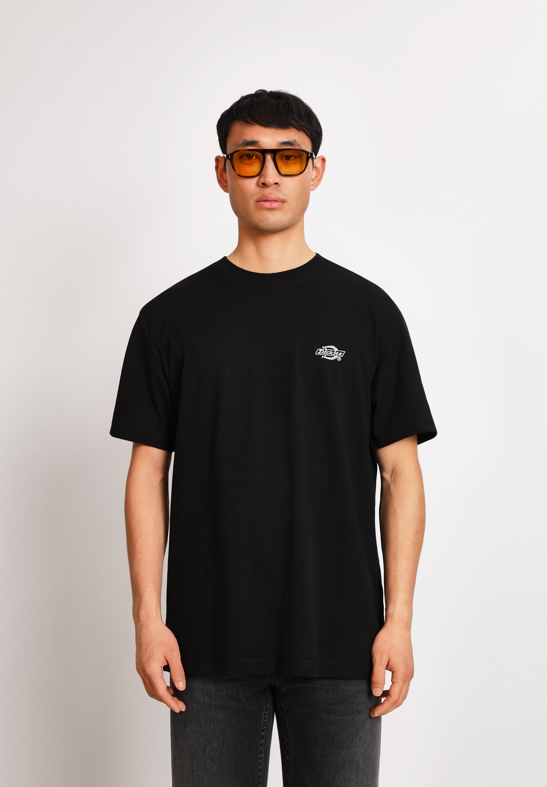 DICKIES | T-SHIRT SUMMERDALE