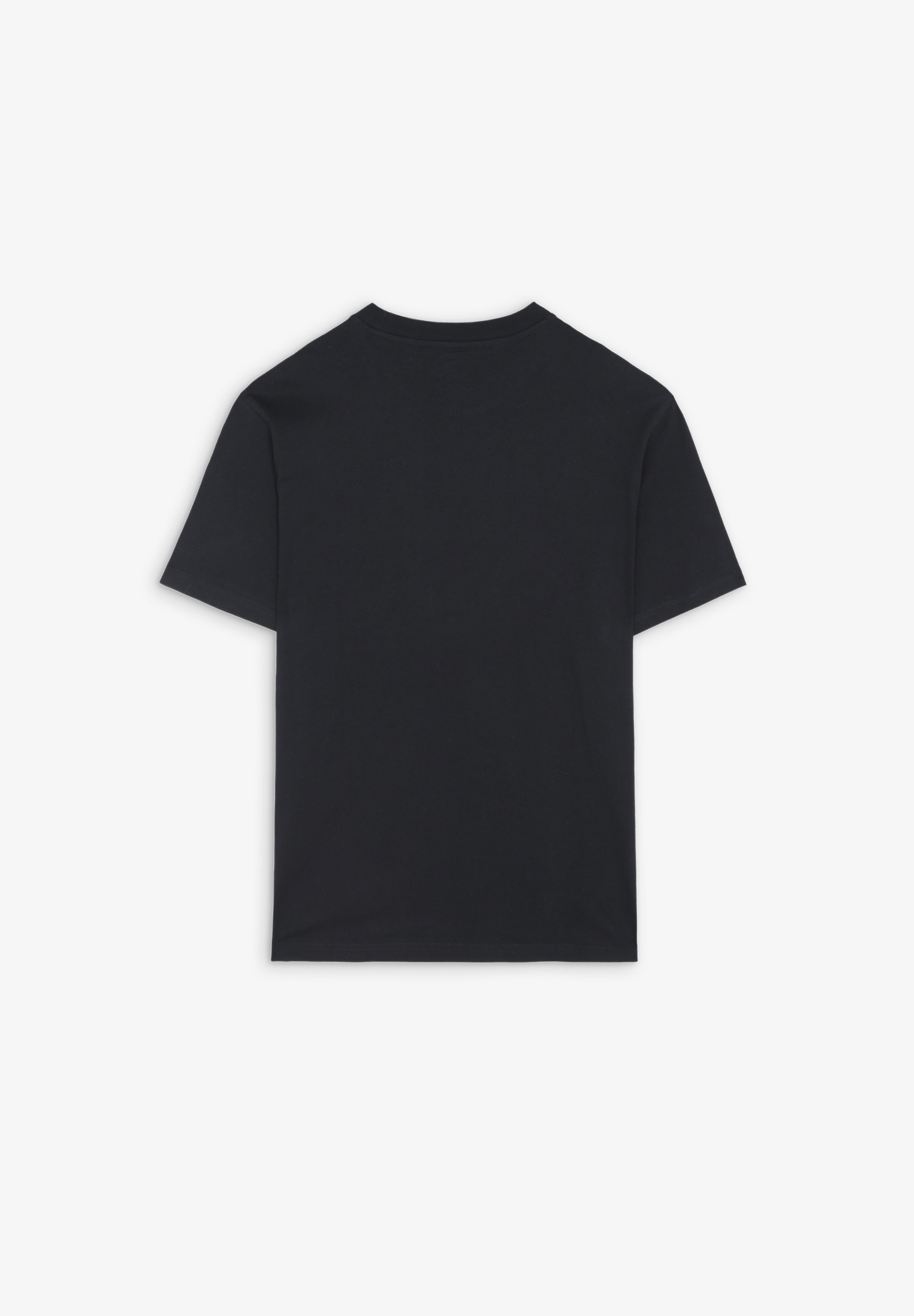 DICKIES | T-SHIRT SUMMERDALE
