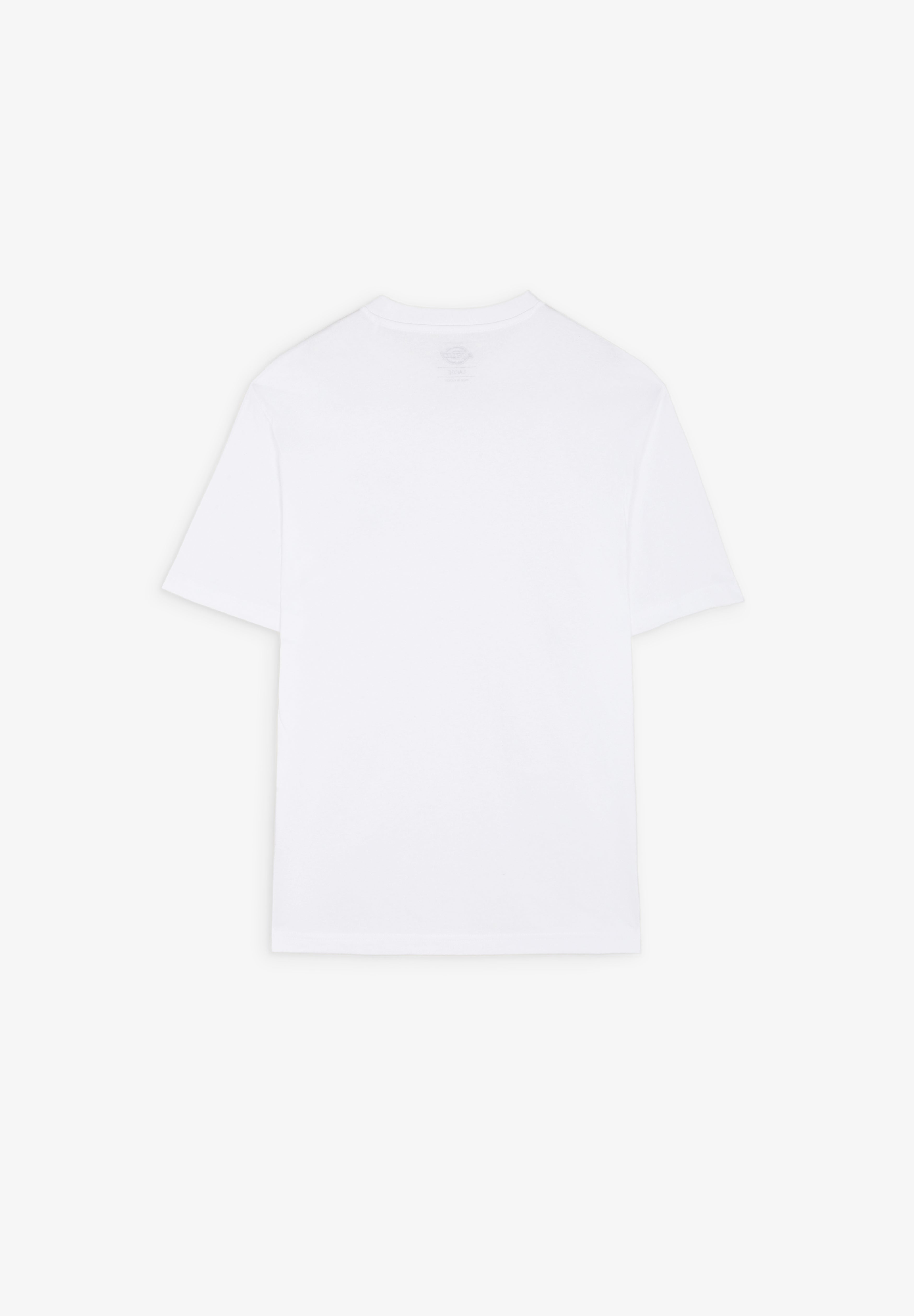 DICKIES | T-SHIRT SUMMERDALE