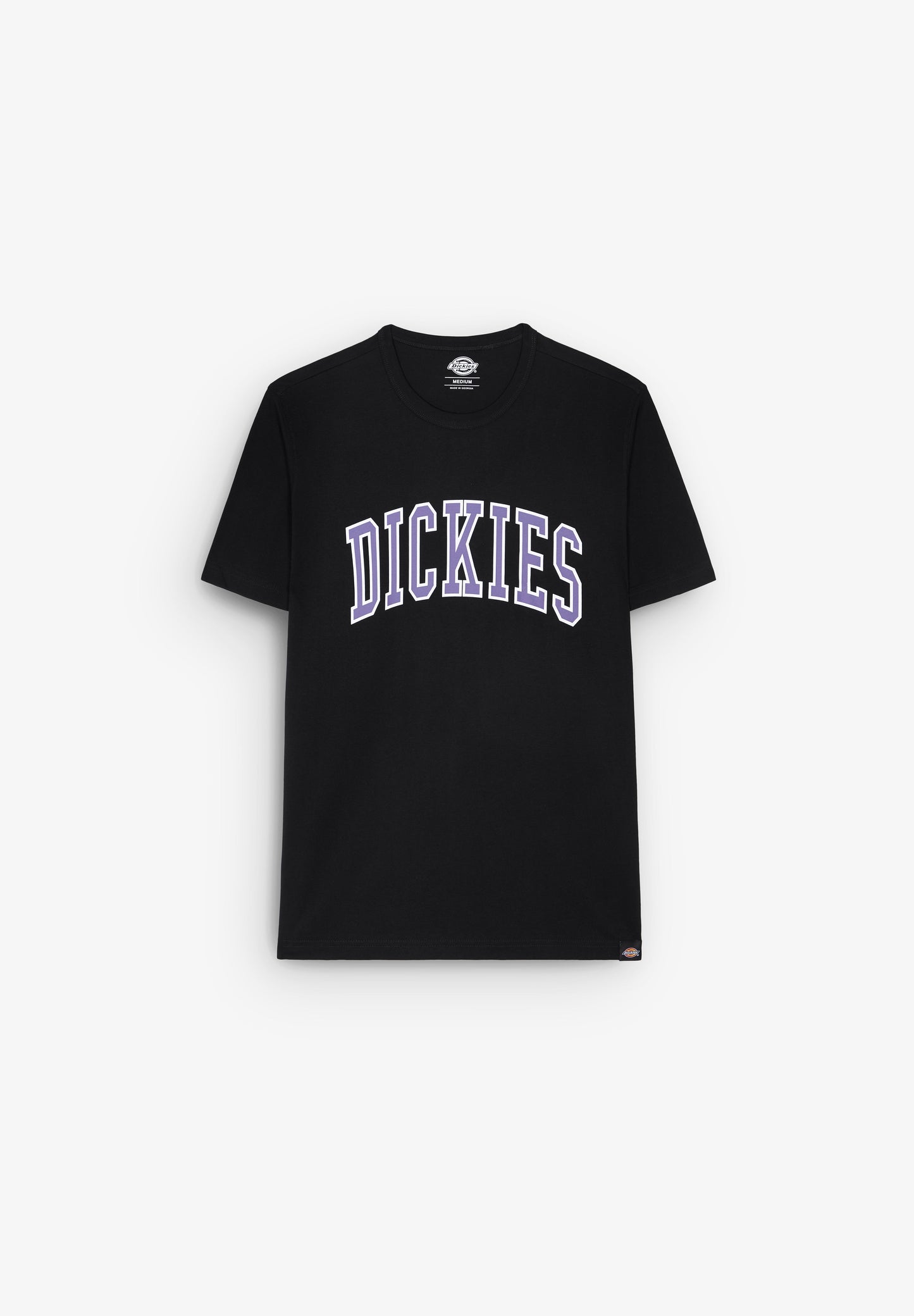 DICKIES | T-SHIRT AITKIN