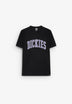 DICKIES | T-SHIRT AITKIN