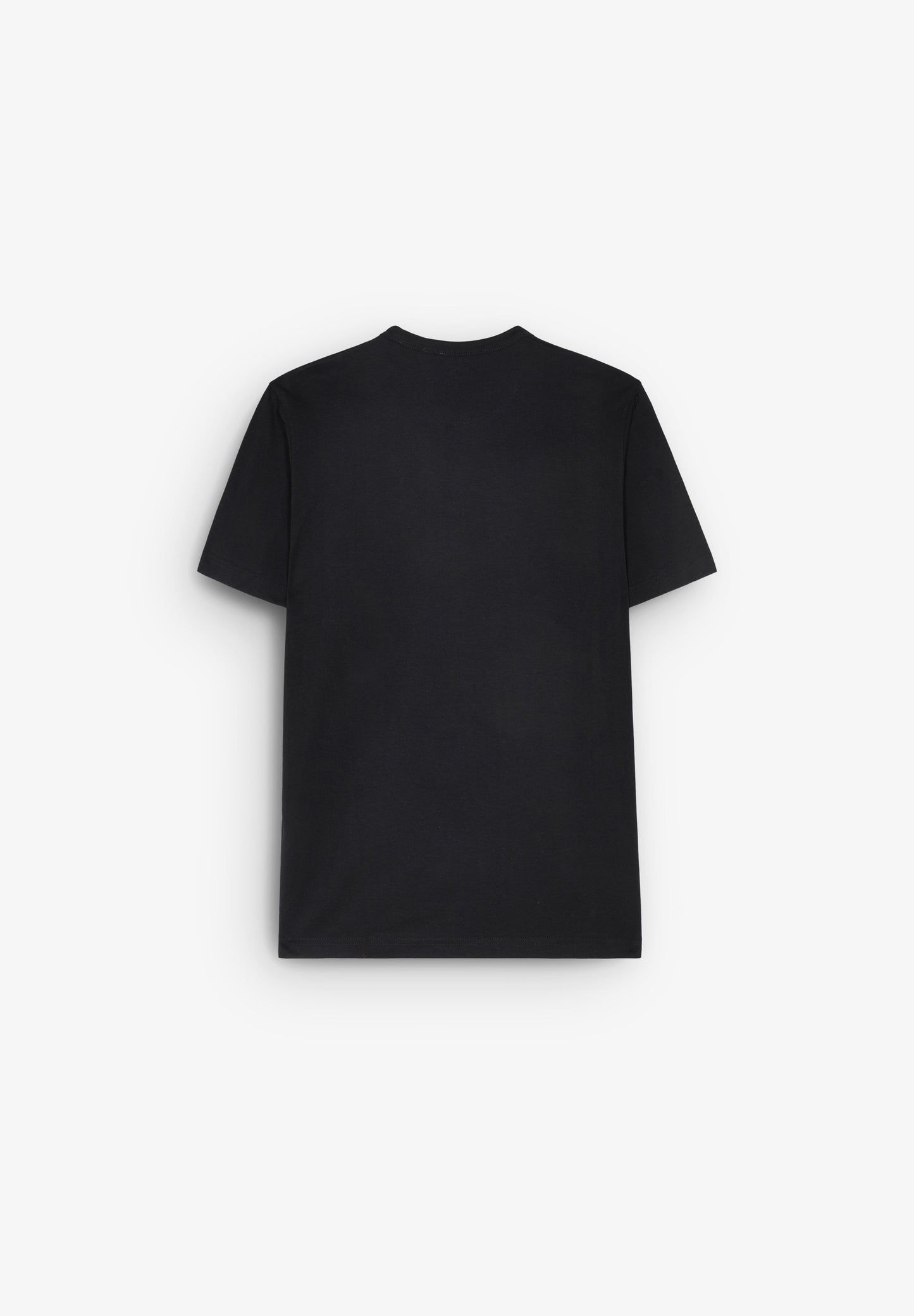 DICKIES | T-SHIRT AITKIN