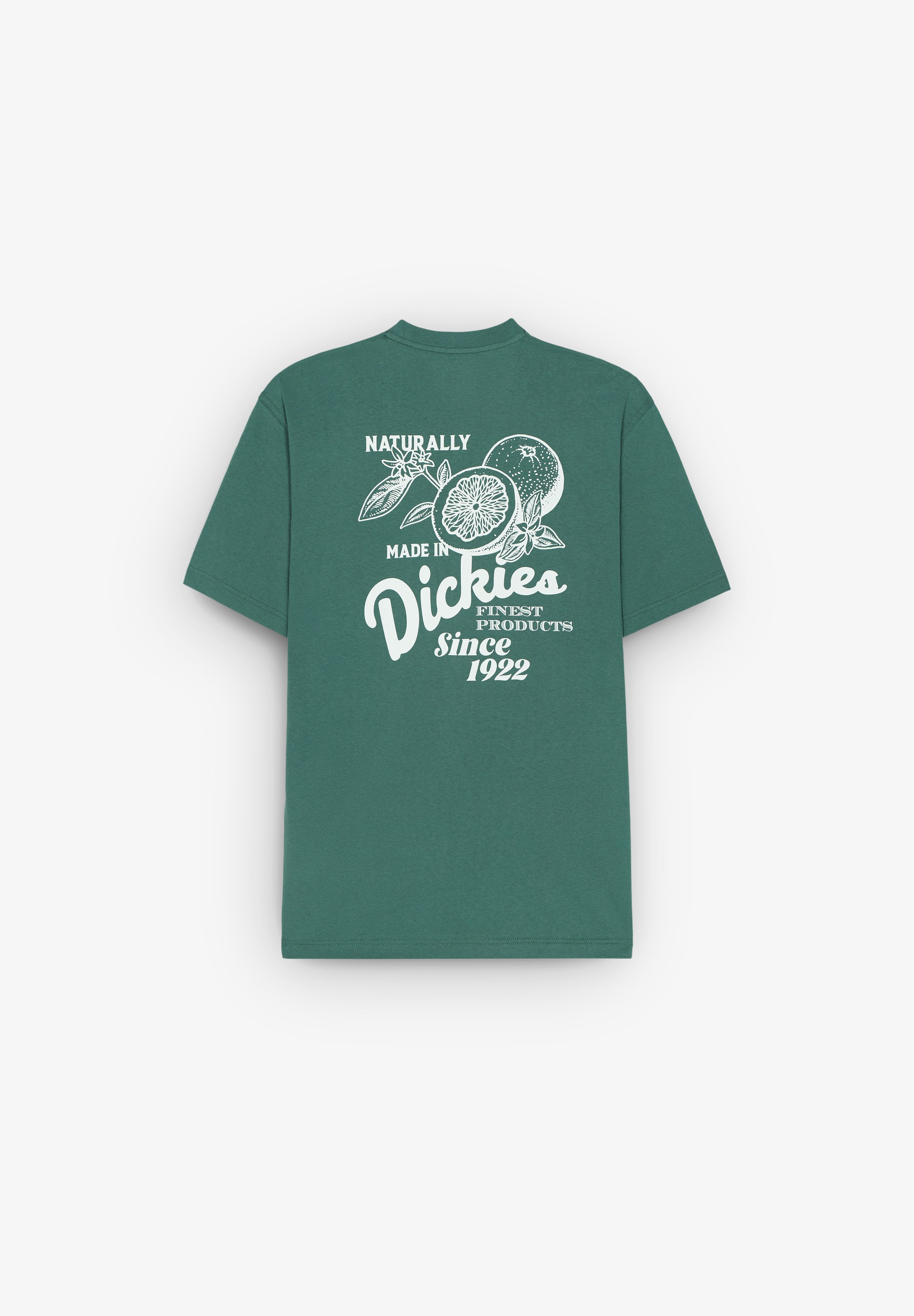 DICKIES | T-SHIRT RAVEN