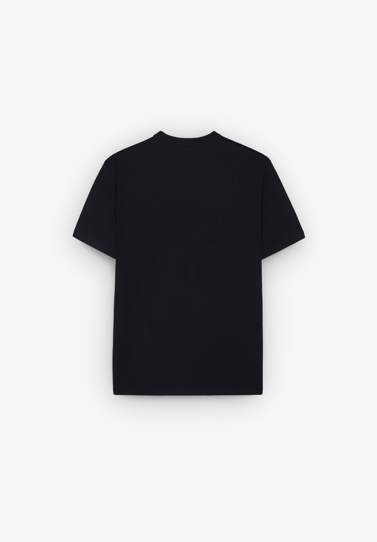 DICKIES | T-SHIRT AITKIN CHEST