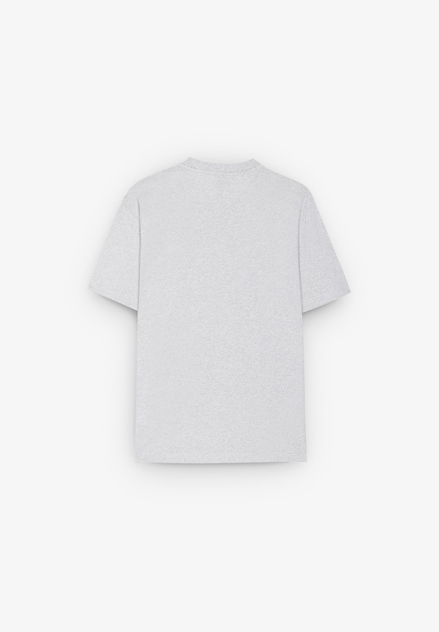 DICKIES | T-SHIRT SUMMERDALE