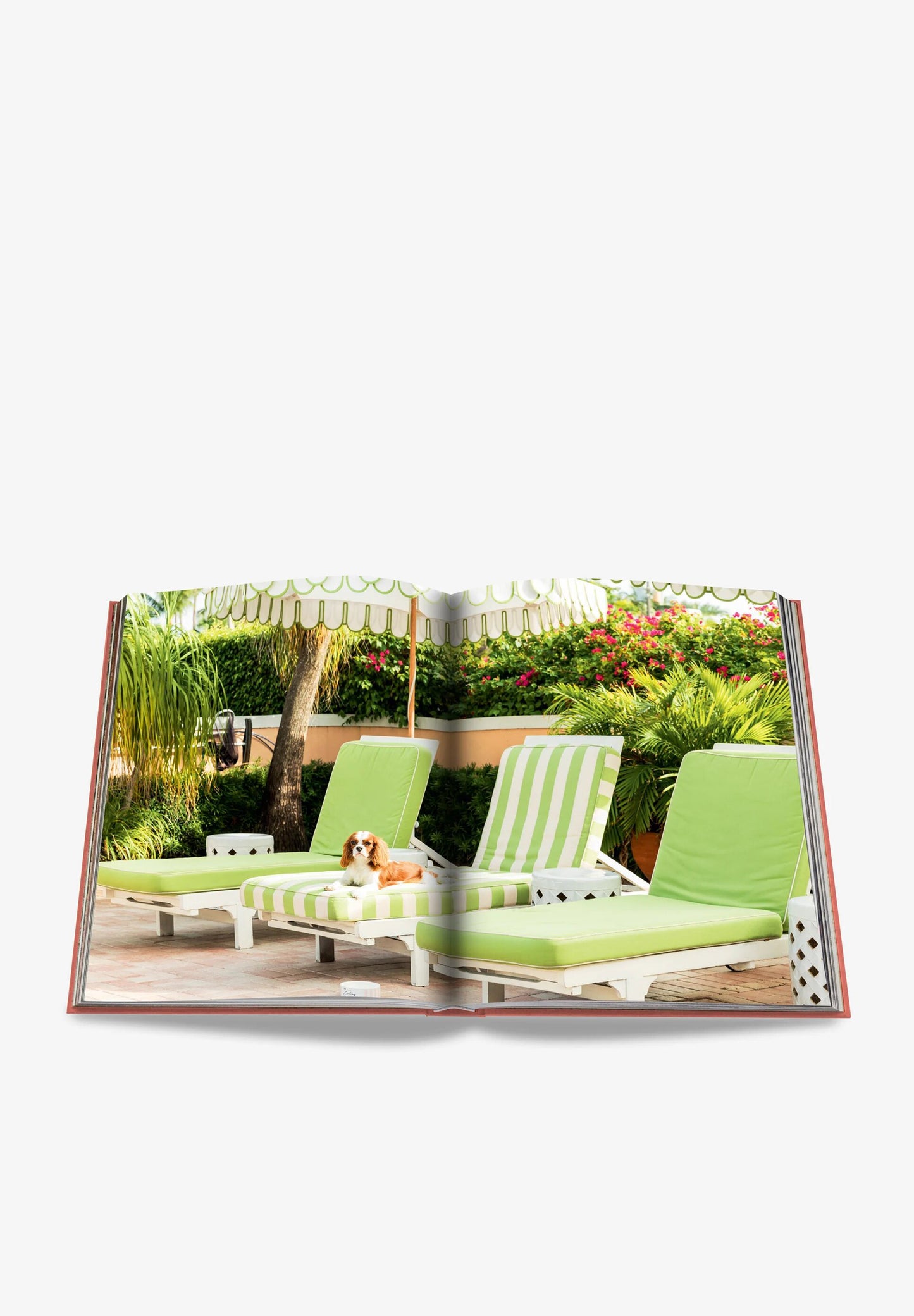 ASSOULINE | LIVRO PALM BEACH