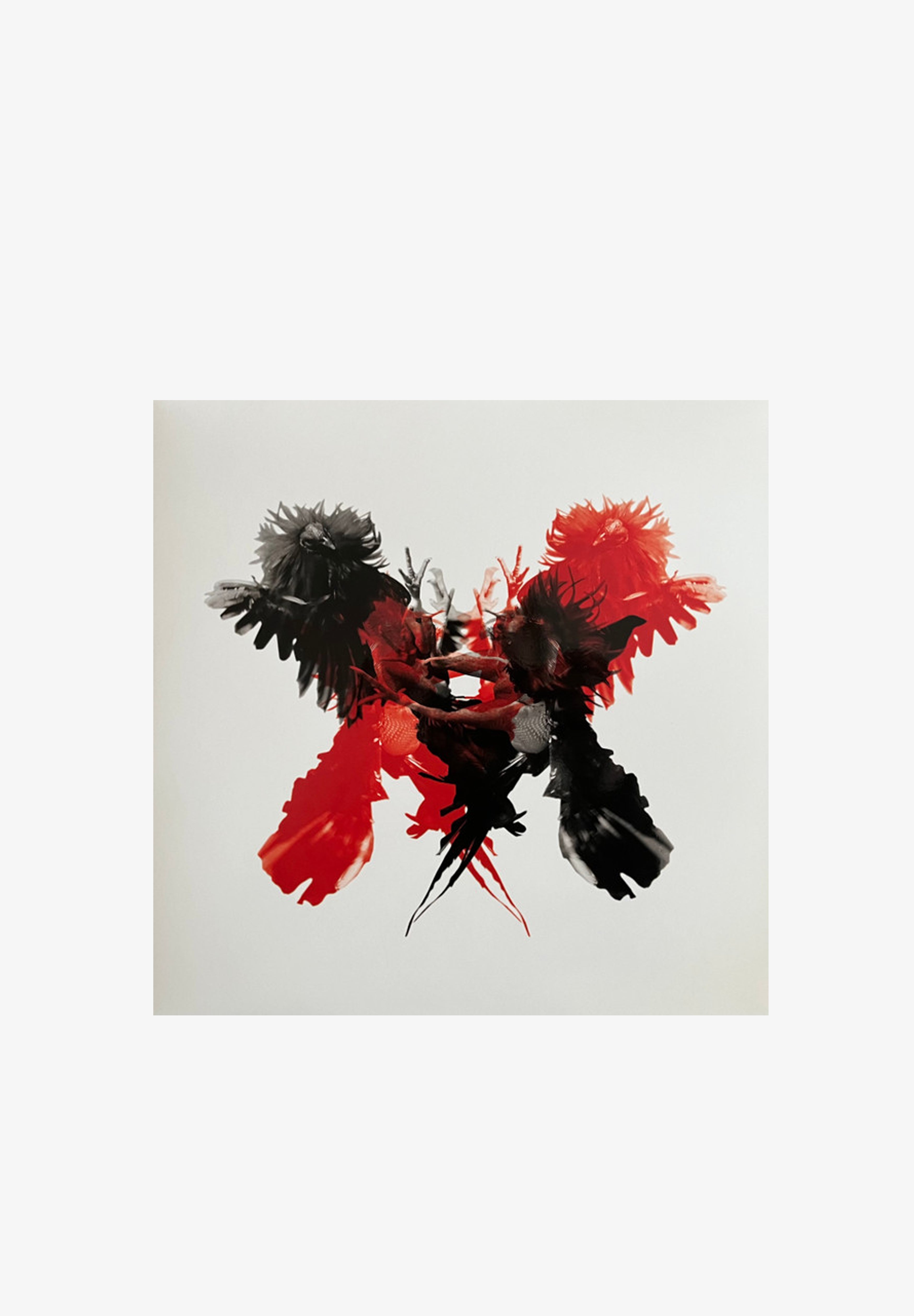 SONY MUSIC | VINIL KINGS OF LEON: ONLY BY THE NIGHT