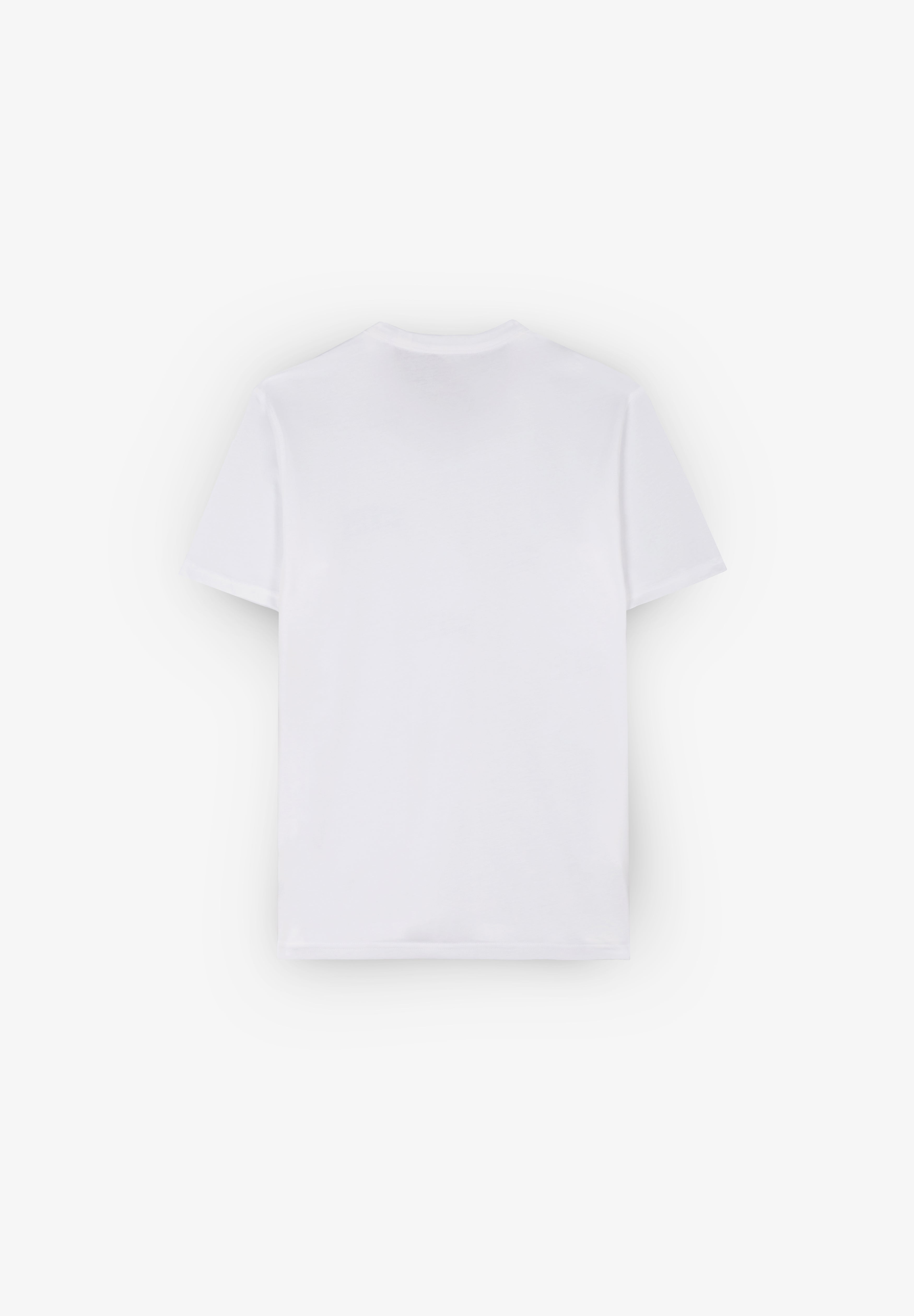 DICKIES | T-SHIRT AITKIN