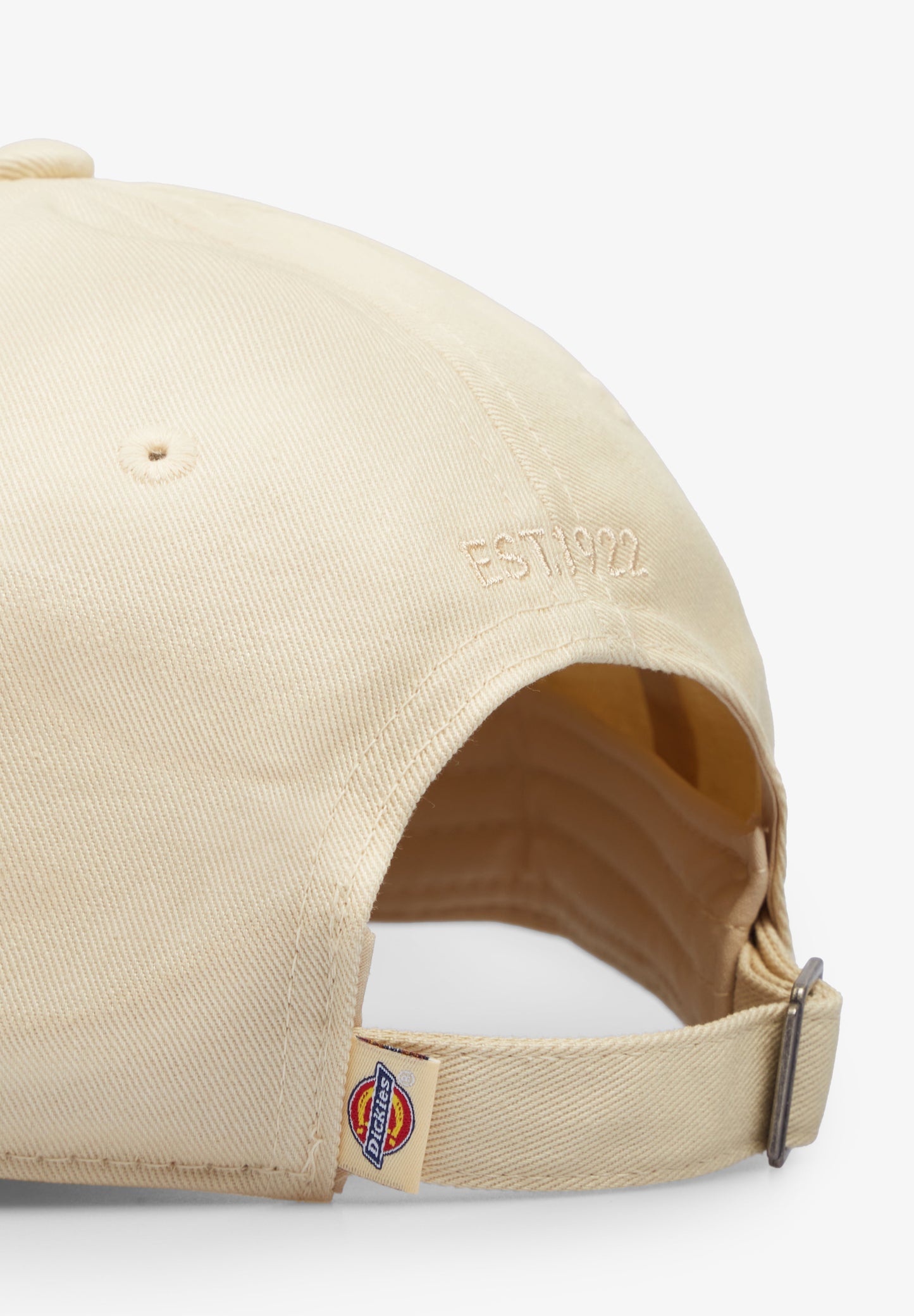 DICKIES | BONÉ ESSENTIAL DAD