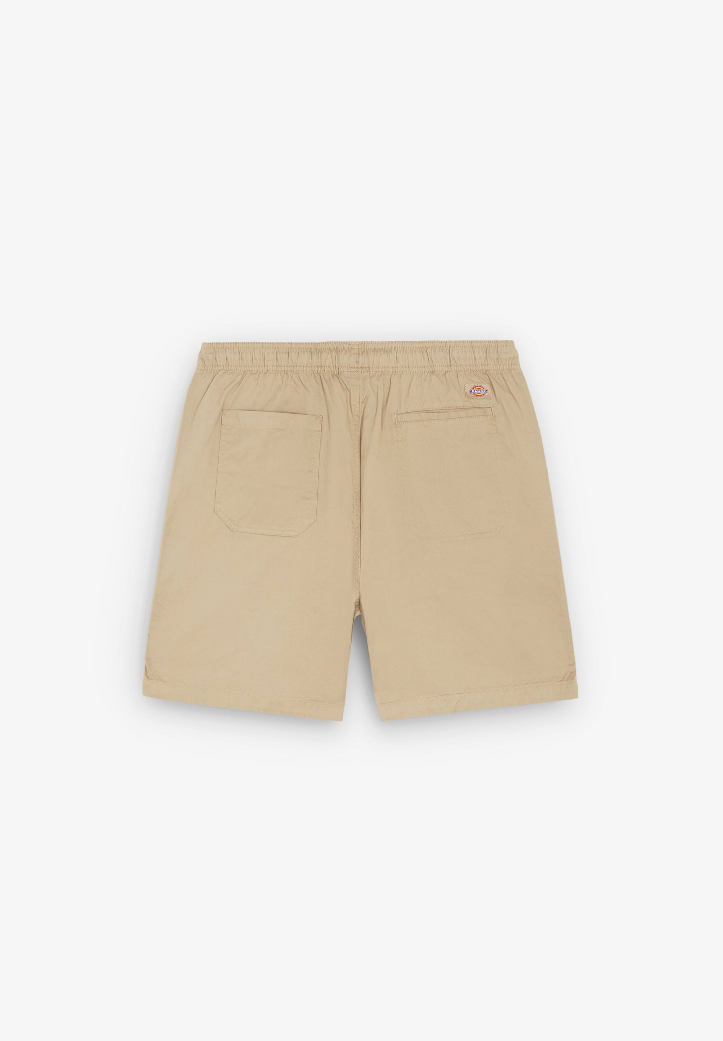DICKIES | PELICAN RAPIDS DESERT
