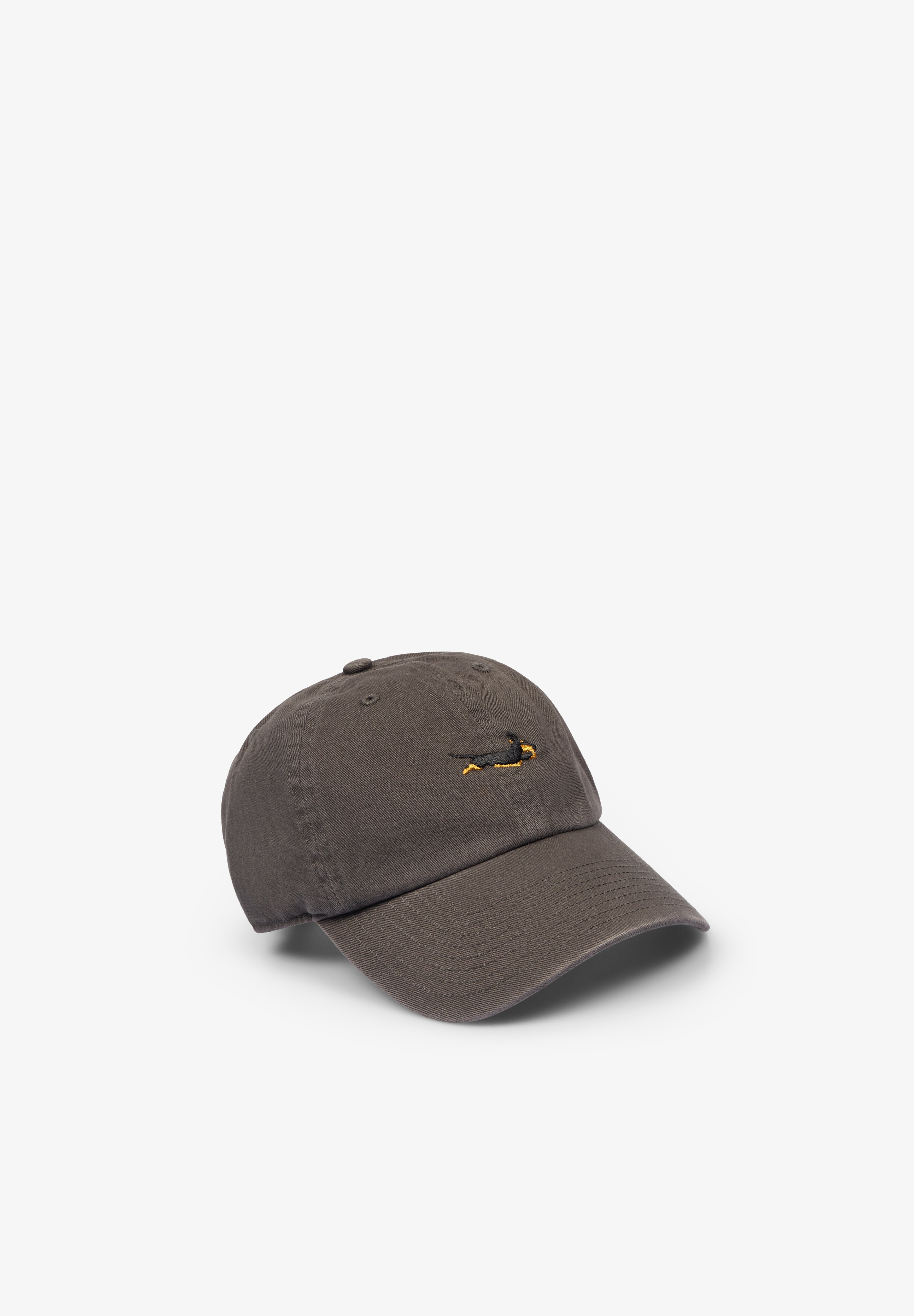 47 BRAND | DOG BASE RUNNER