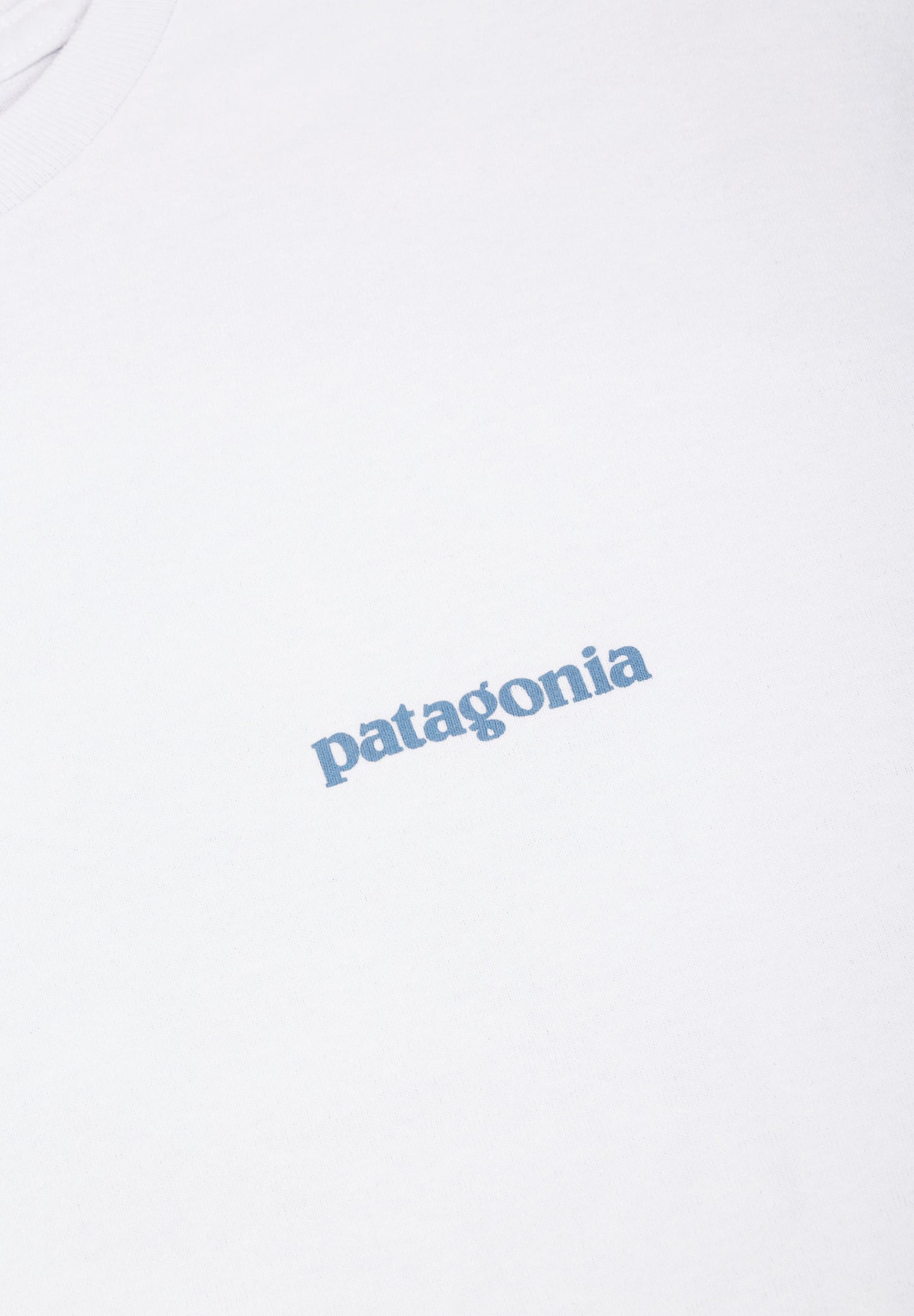 PATAGONIA | T-SHIRT FLYING FISH