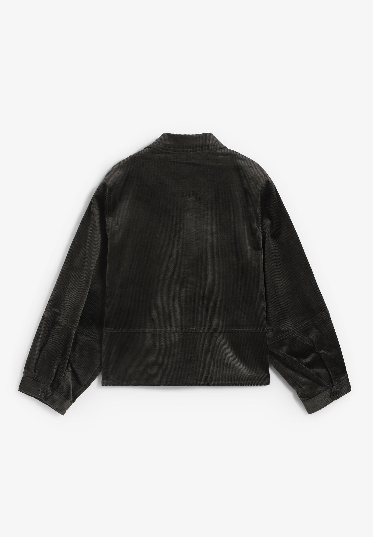 SESSUN | CAMISA LEOTOWN