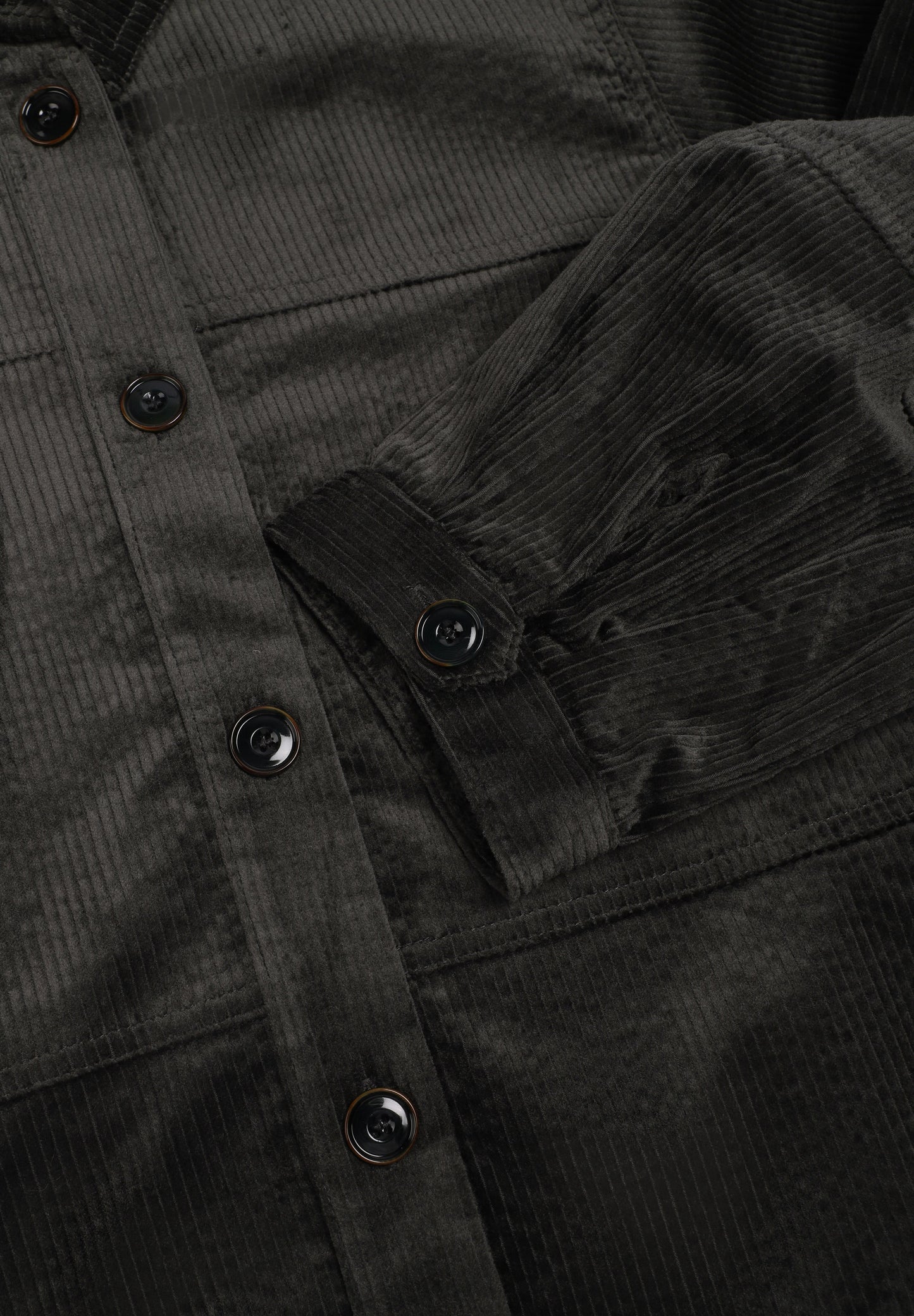 SESSUN | CAMISA LEOTOWN